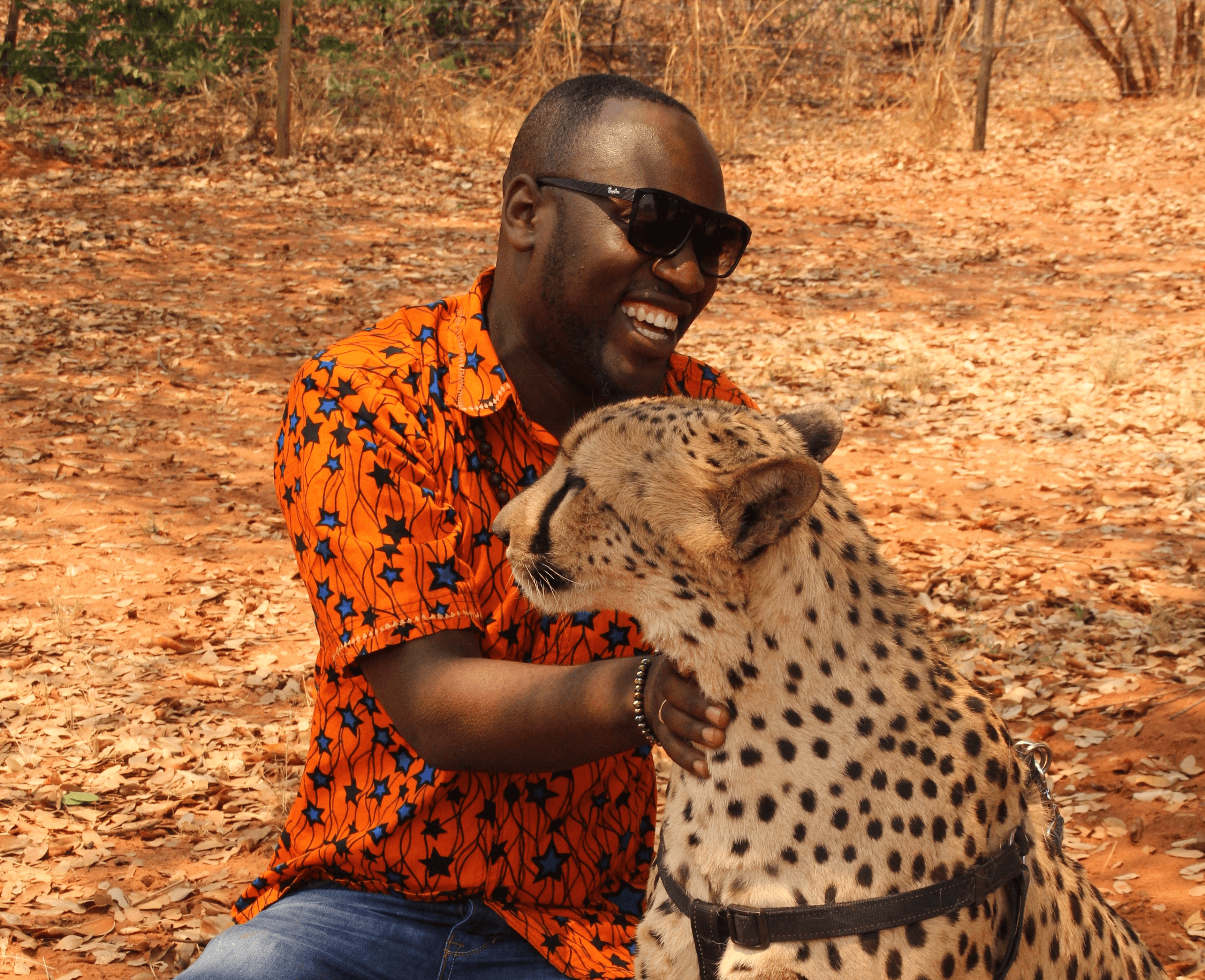 Wild life cheetah and man in Zambia