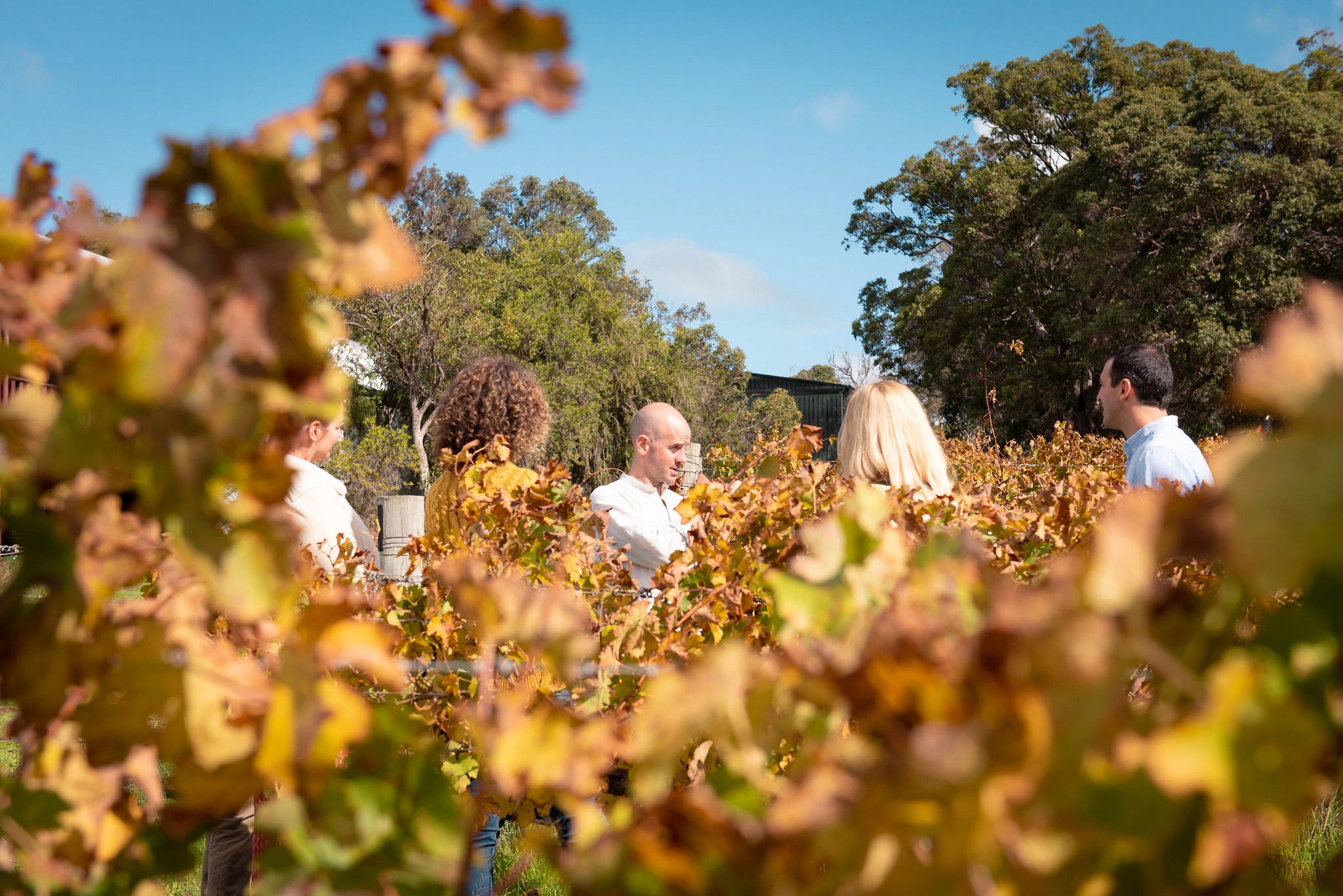 Completing a plate on a wood cutting board
