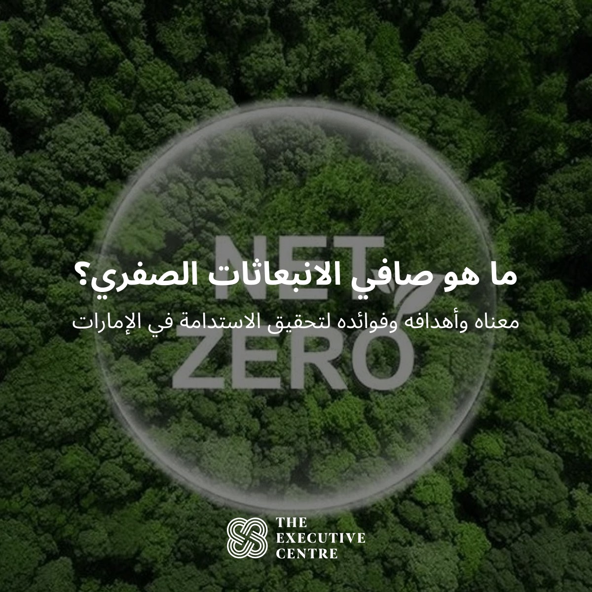 لقطة توضيحية للحث على الأنبعاث الصفري على خلفية من الأشجار الكثيفة، تعكس التركيز على الاستدامة في الإمارات.