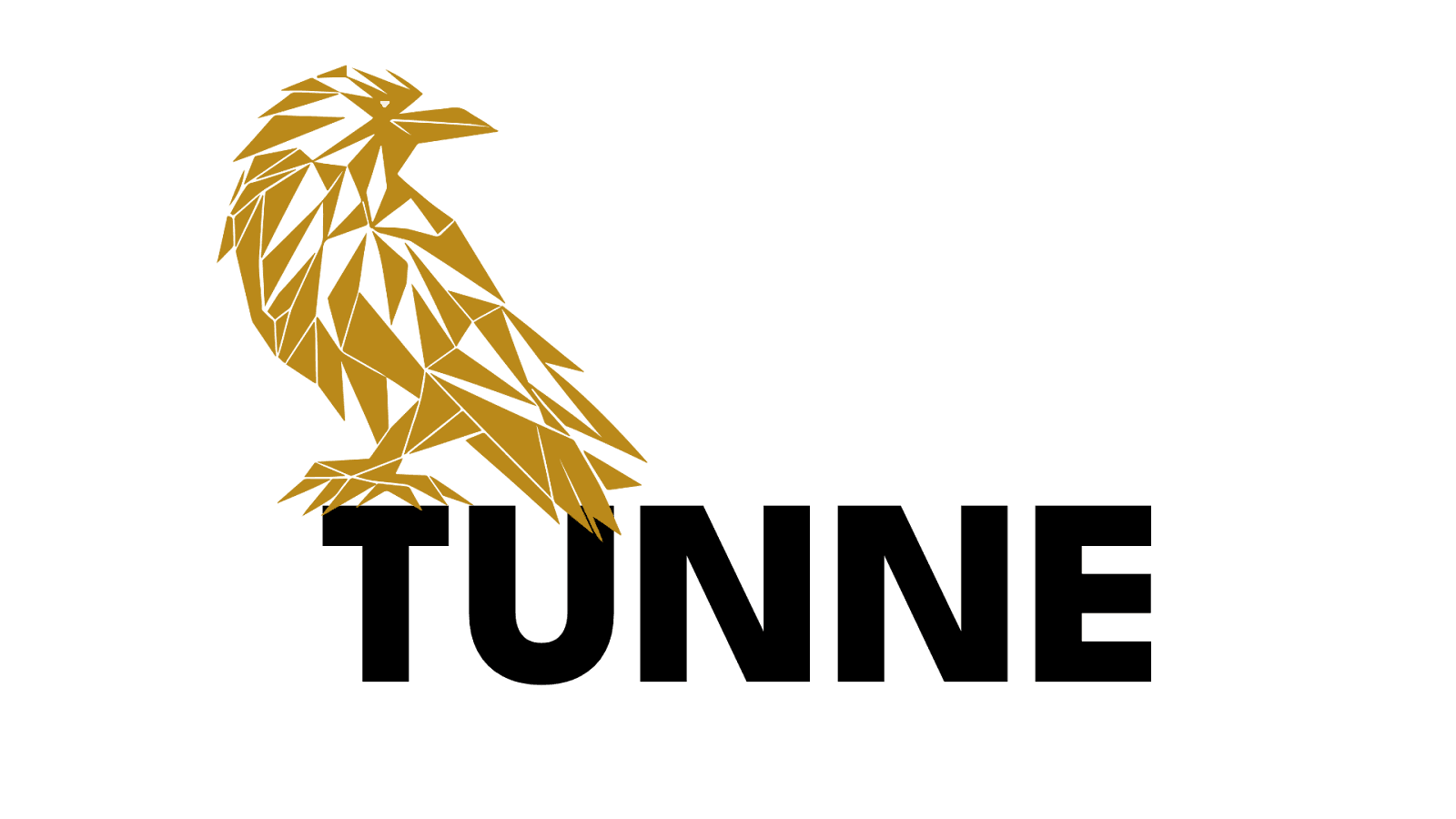 Tunne kultuuriauhinna logo