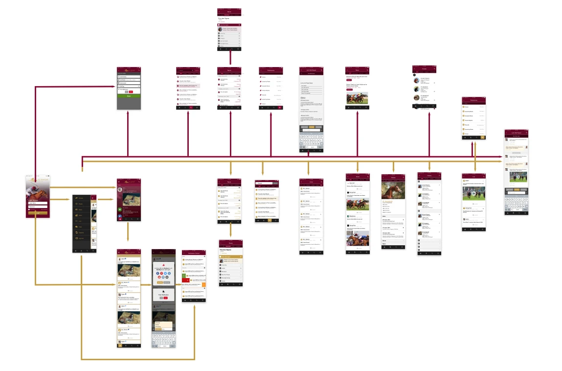 User Flow Screens