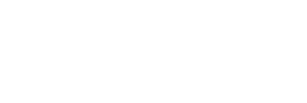 Pioneer Insurance PLC