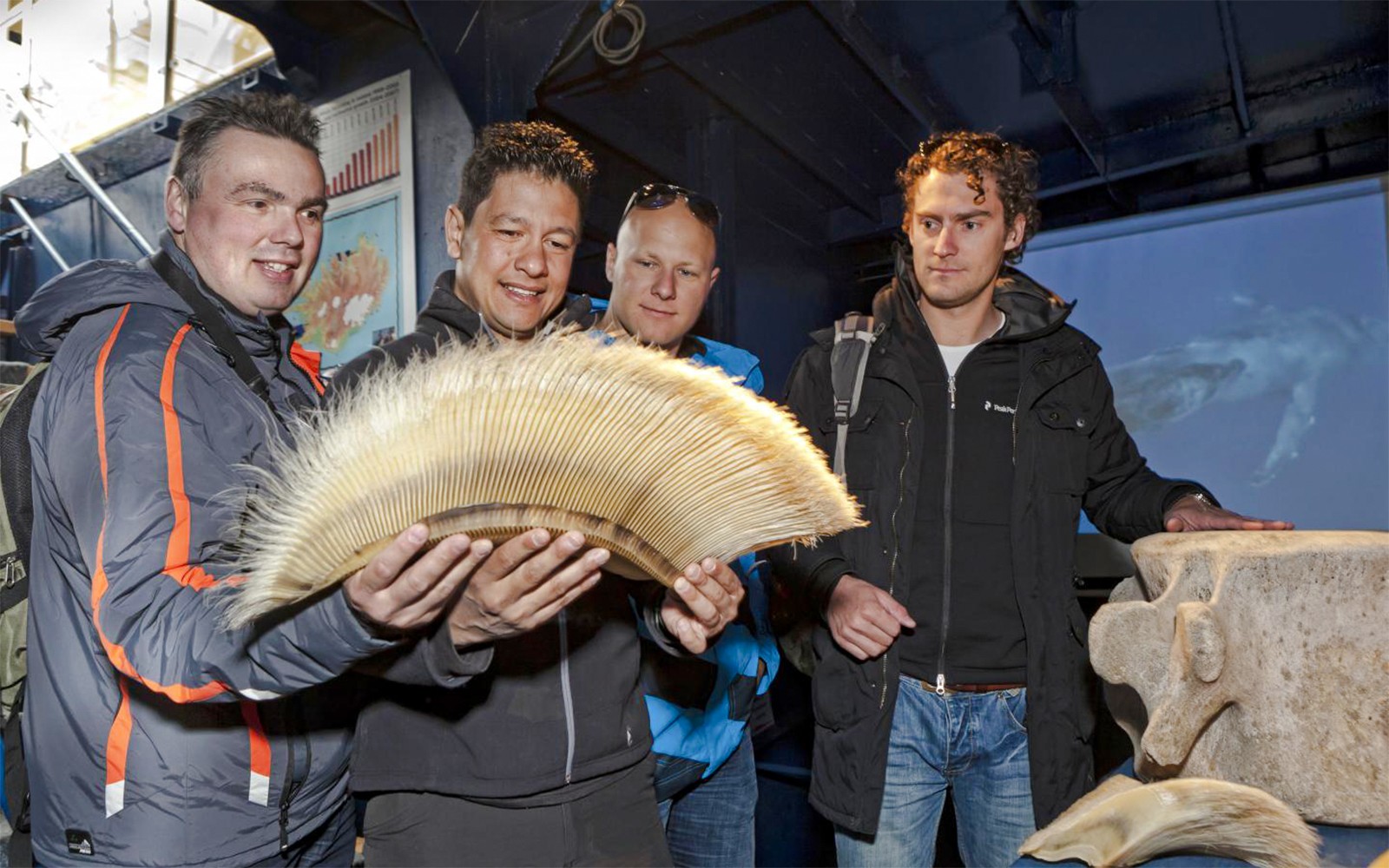 Besøkende som undersøker hvalbarder på Reykjavik Classic Whales Visitor Center-utstillingen.