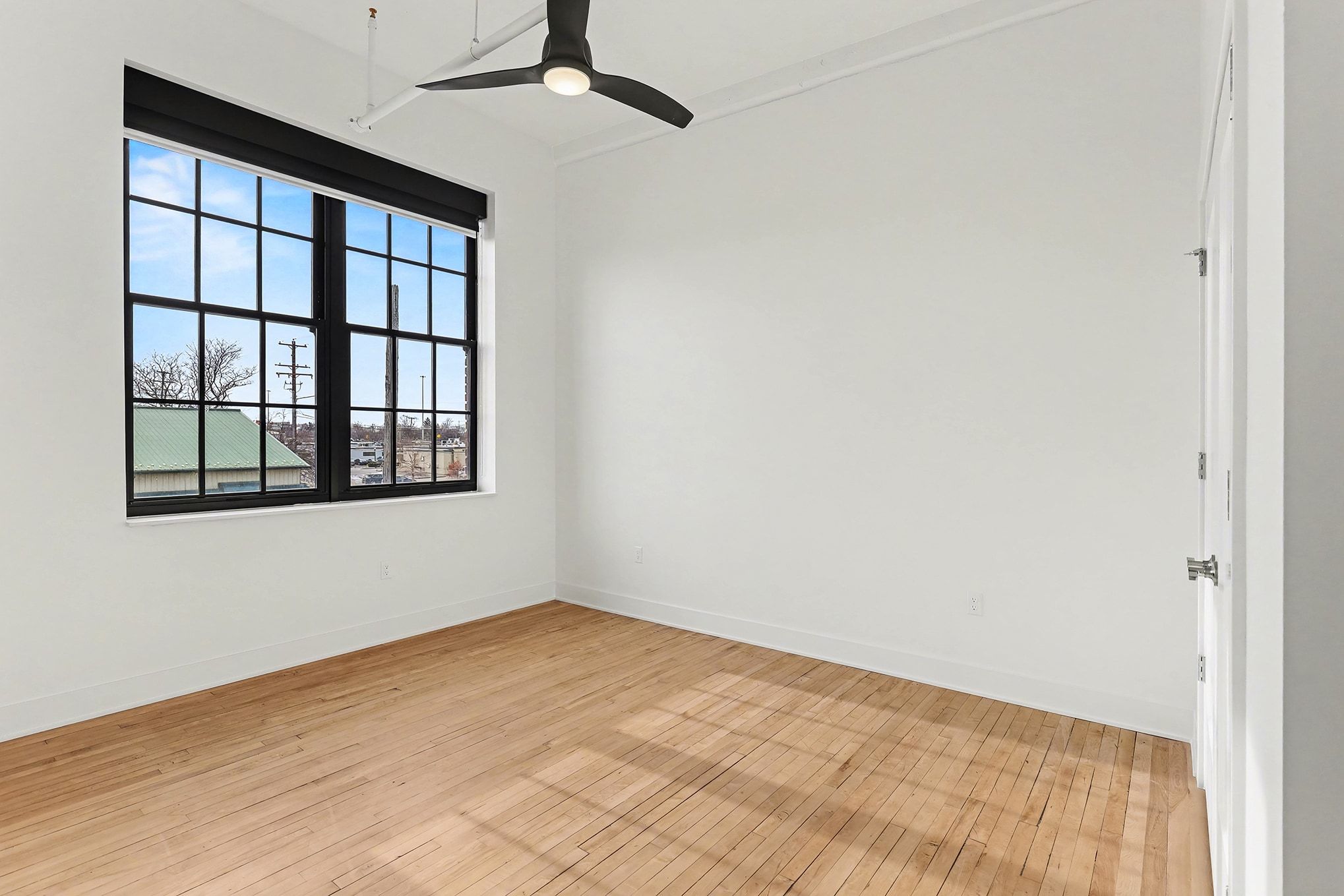 A transparent glass bottle with a dropper, designed for precise liquid measurements and dispensing.