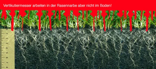 Platz 10: zu frühes Vertikutieren….