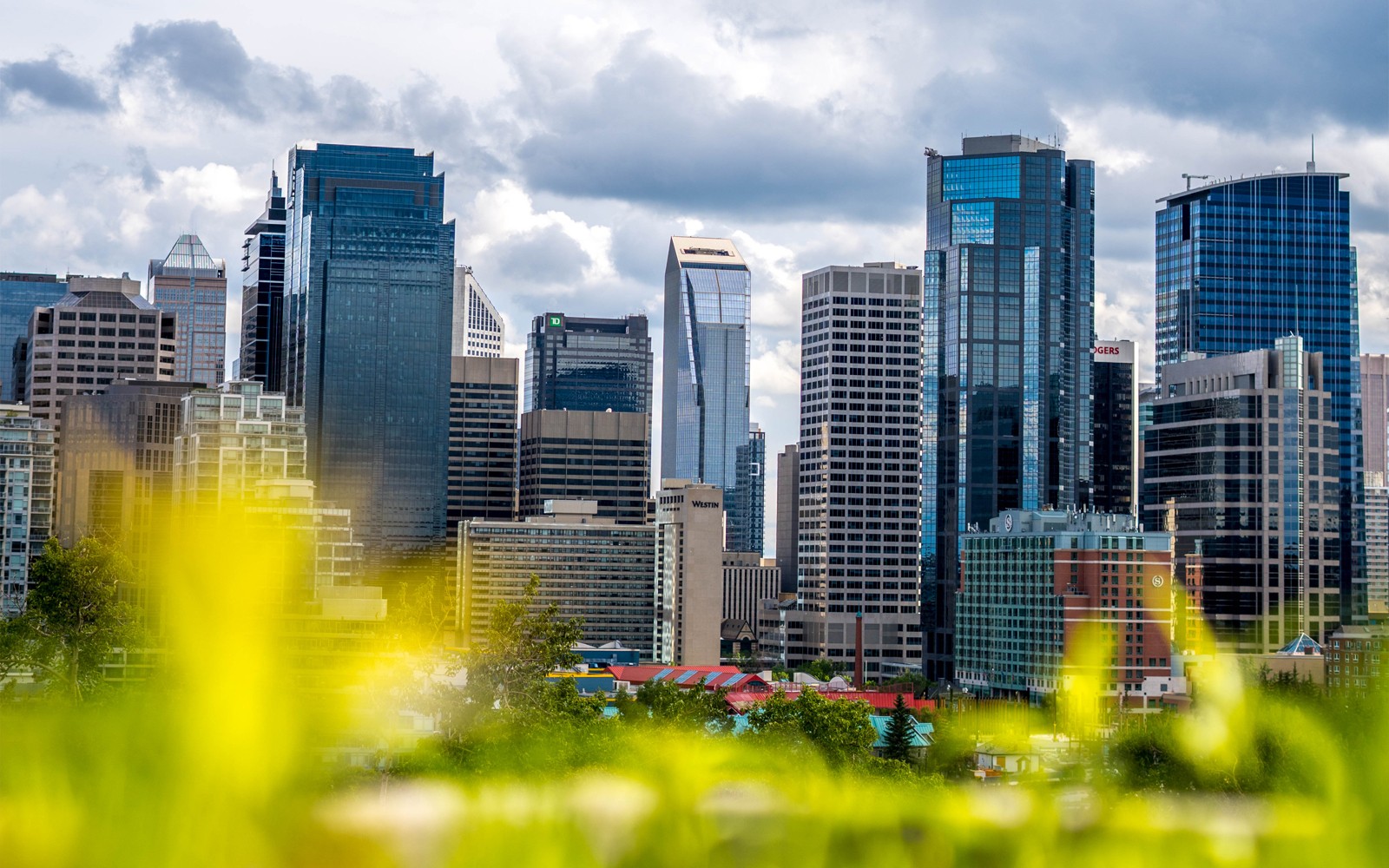 calgary city