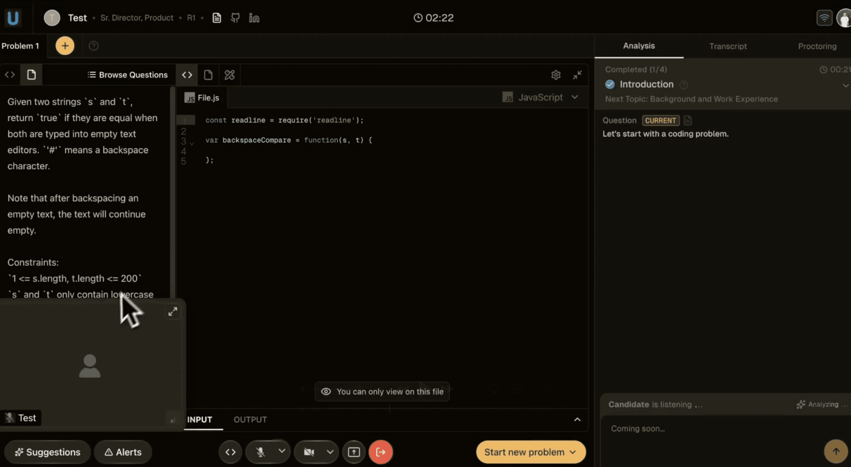 interview canvas with problem editor