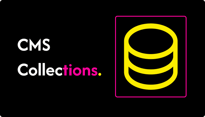 Blog cover image for Wolvenmark article: what is cms collections?
