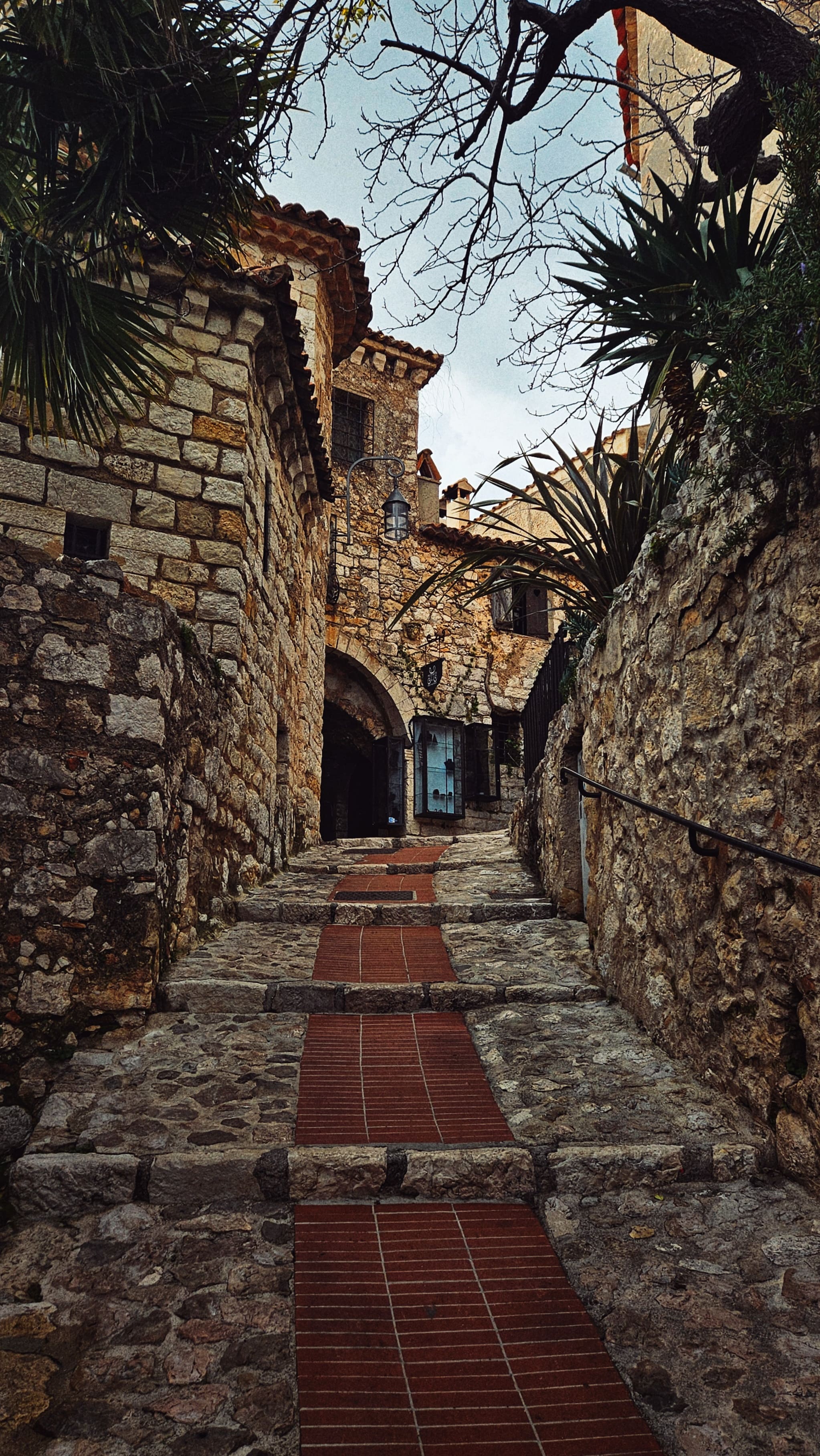 a japanese style building with a japanese roof and trees around it