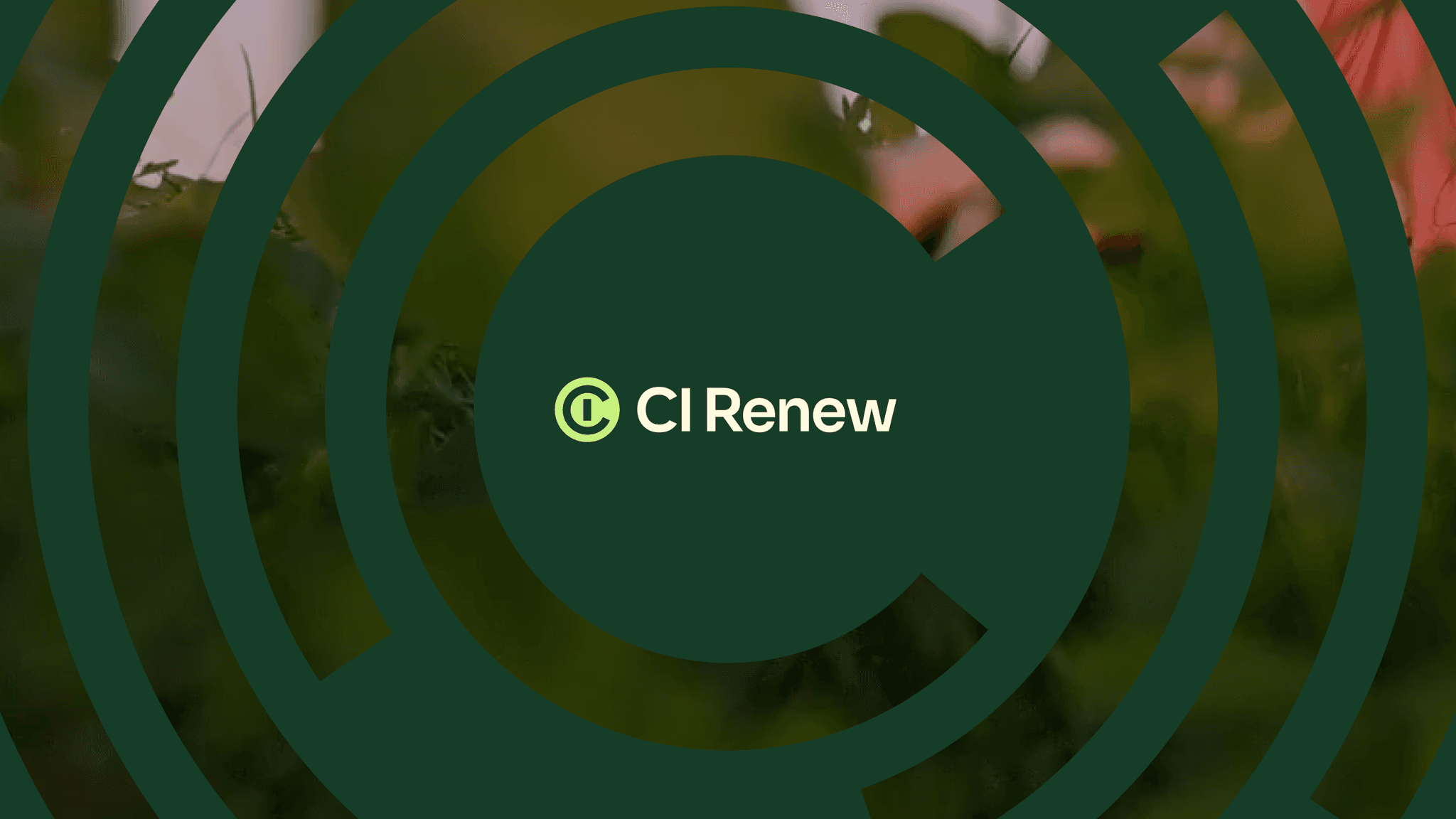 CI Renew logo by Deeo