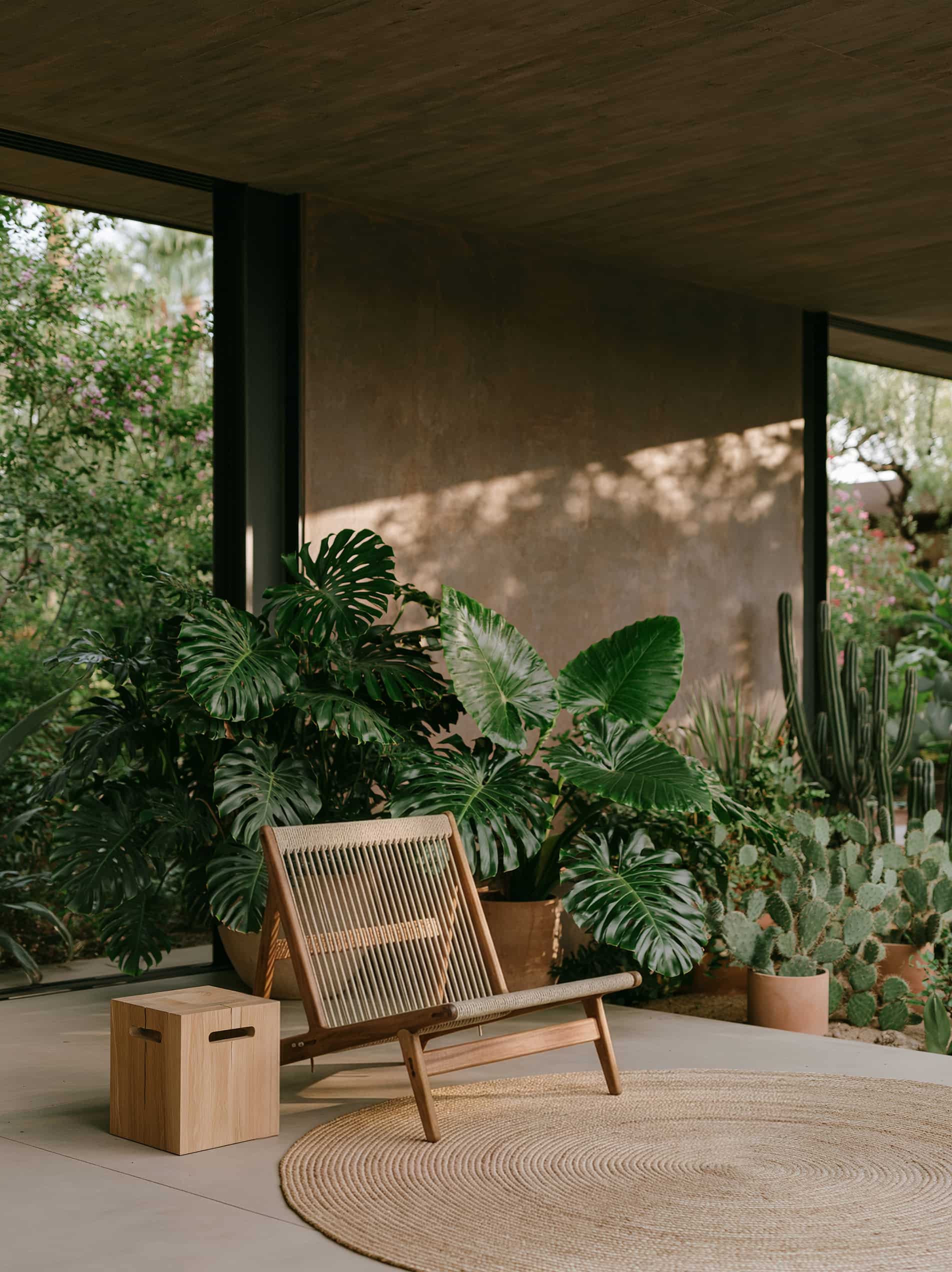 Green Fern