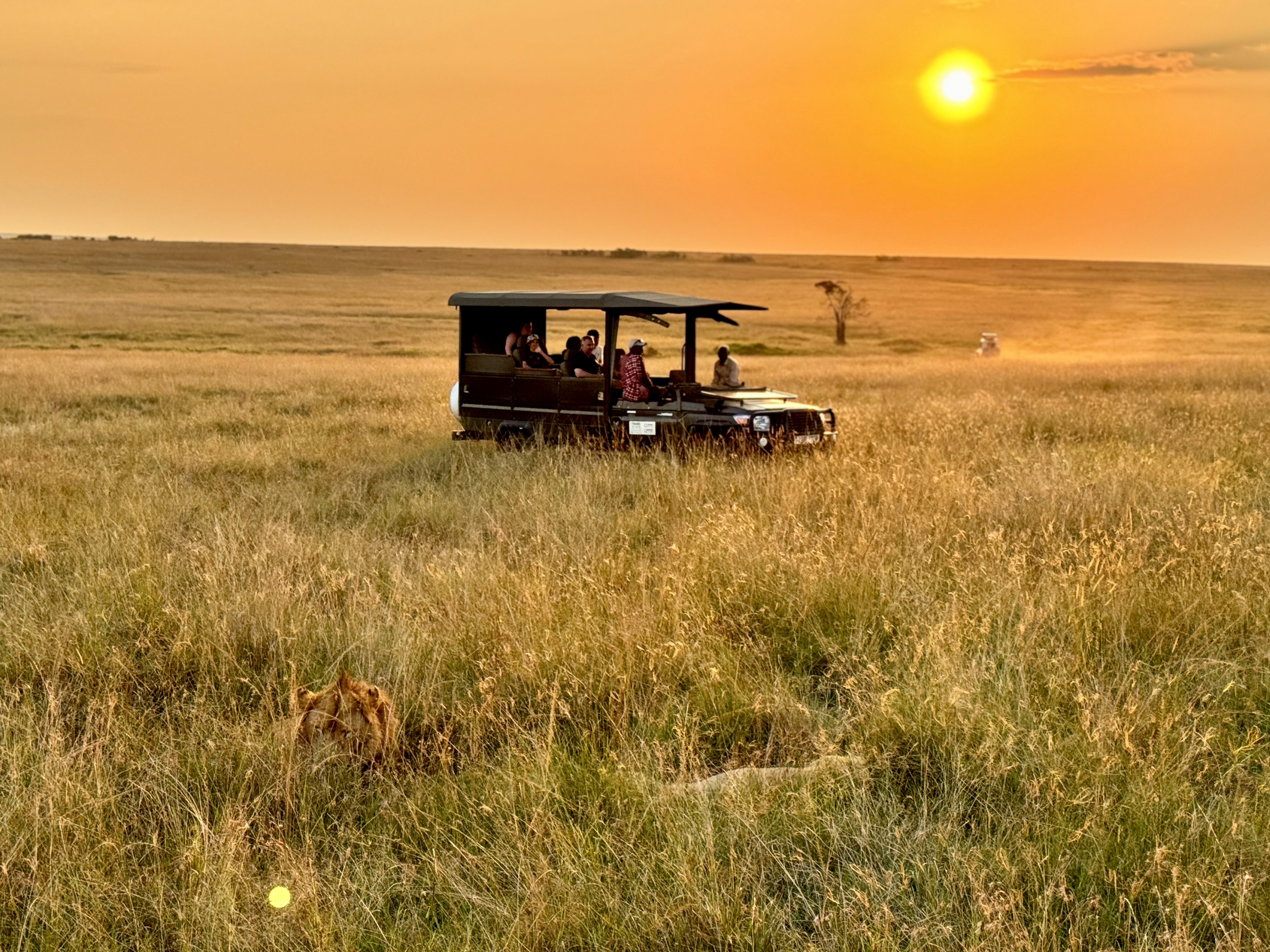 Pausing for Majesty - A sundown moment!