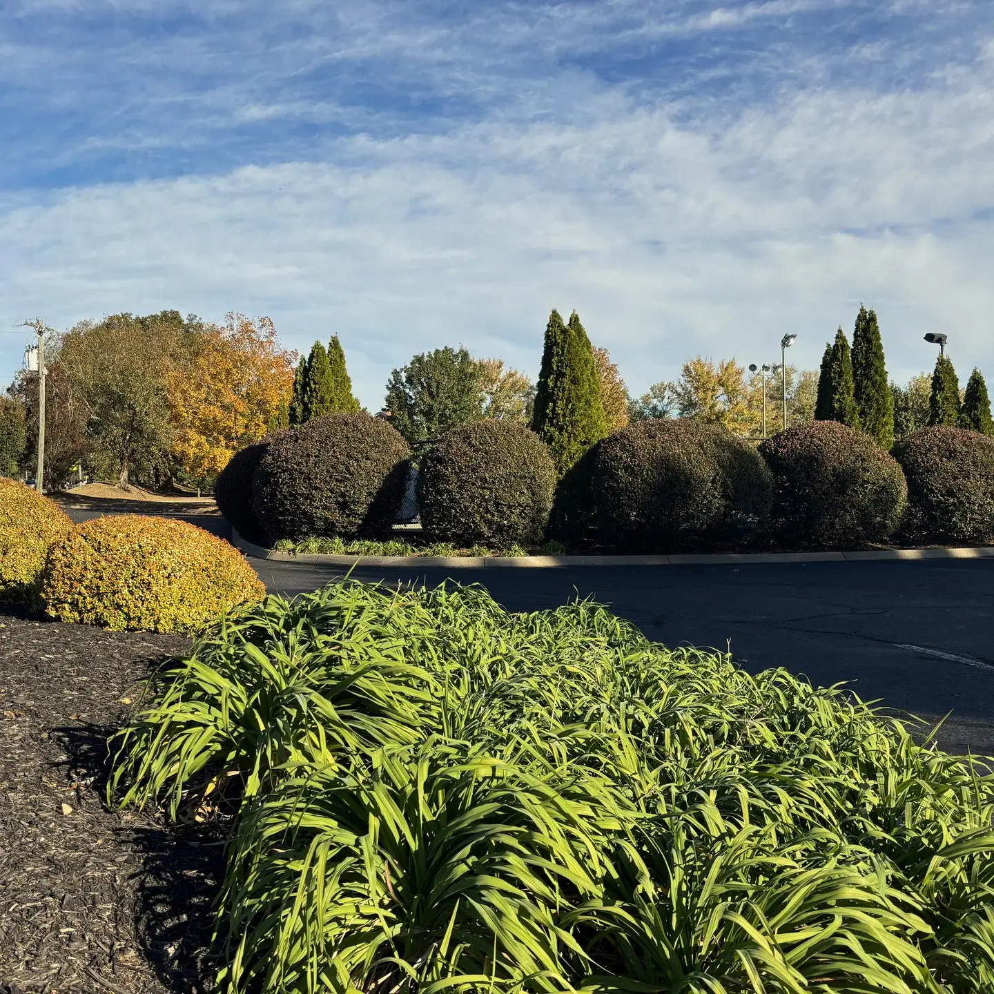 Professional lawn mowing service maintaining a residential yard in Greenville SC