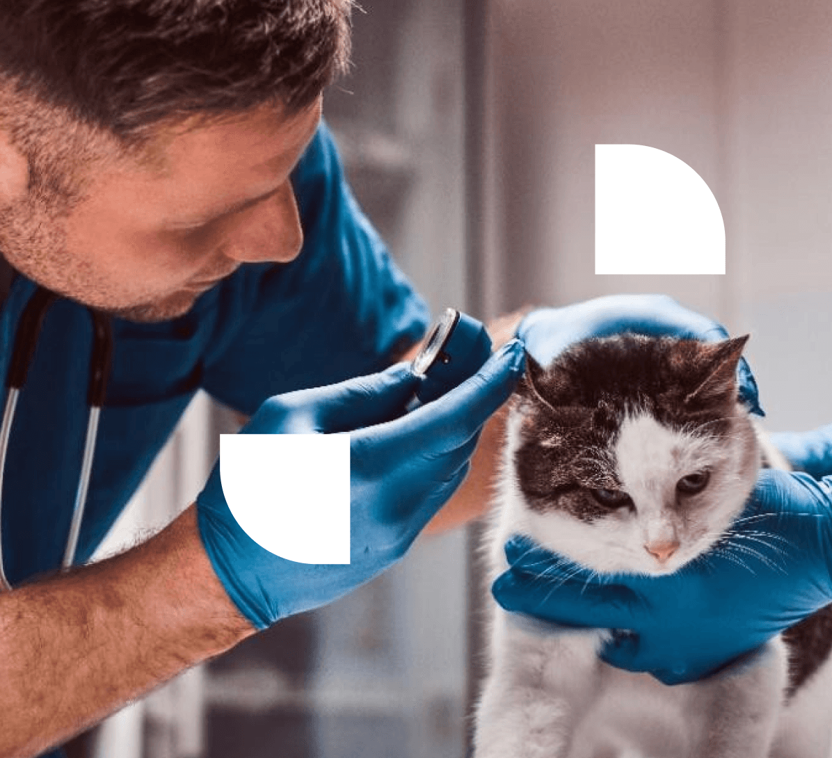 Logotipo formado por las palabras weuta en blanco sobre fondo naranja corporativo.