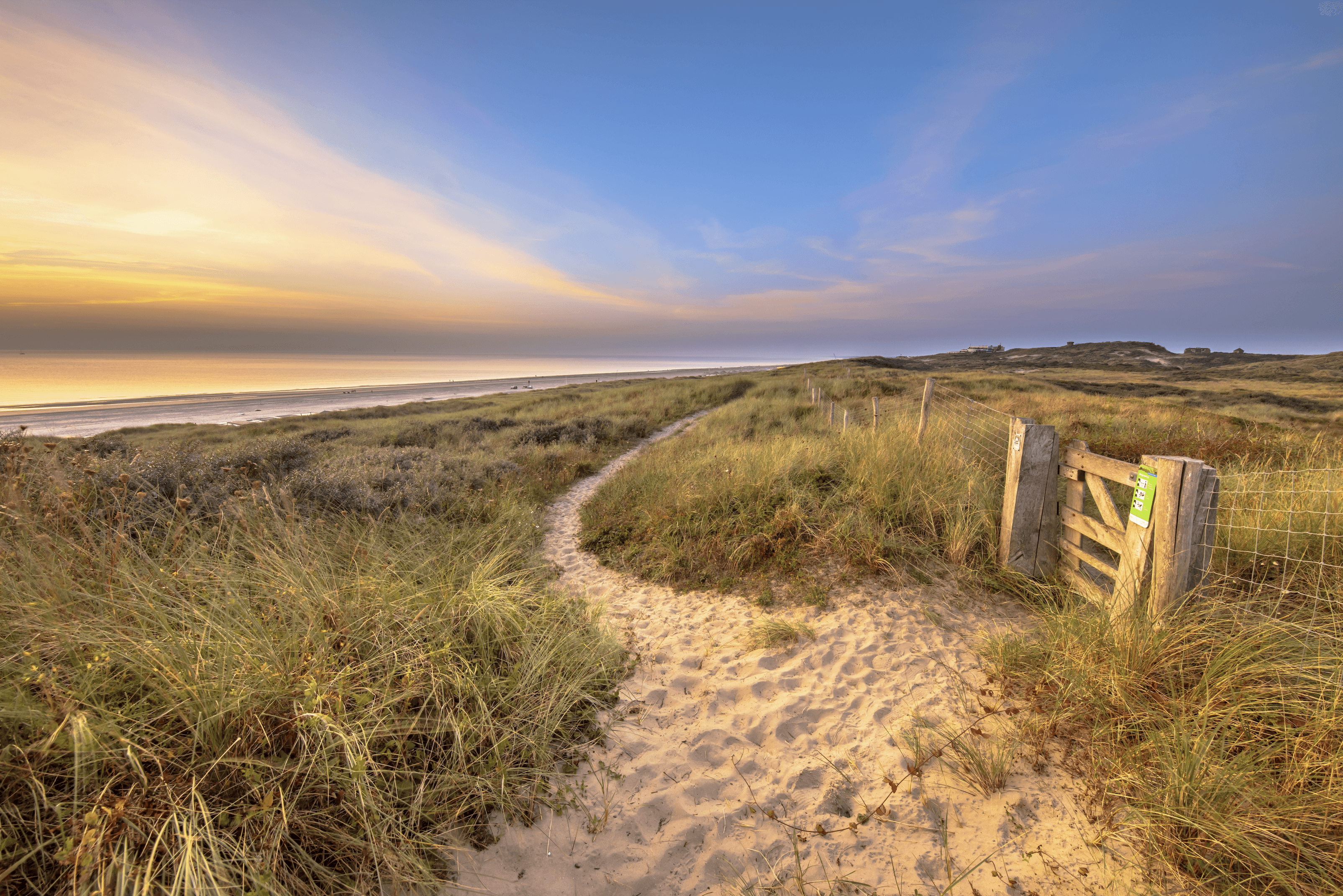 Trail through dune landscape on the coastline of North Sea.