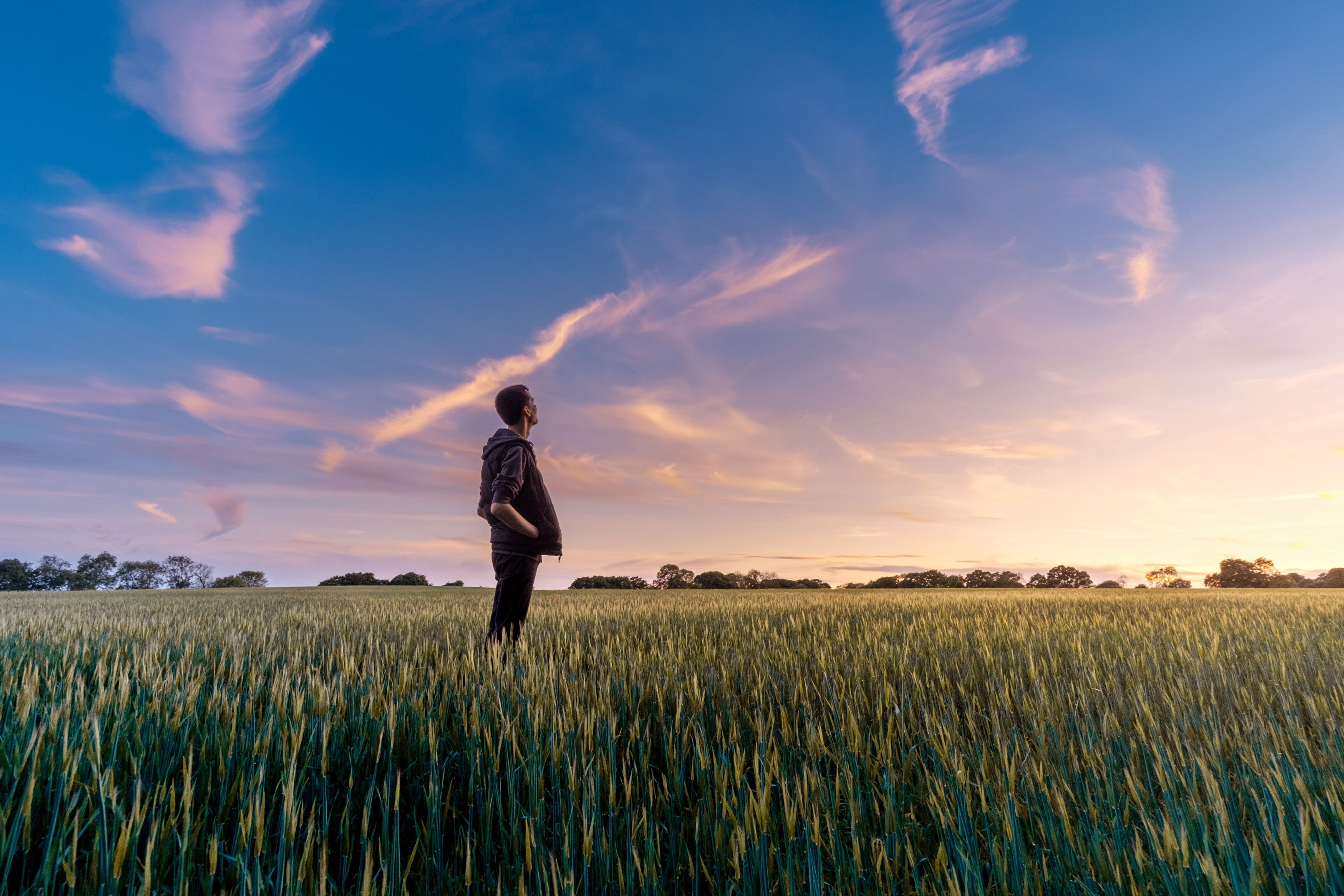 dream fields personal development 