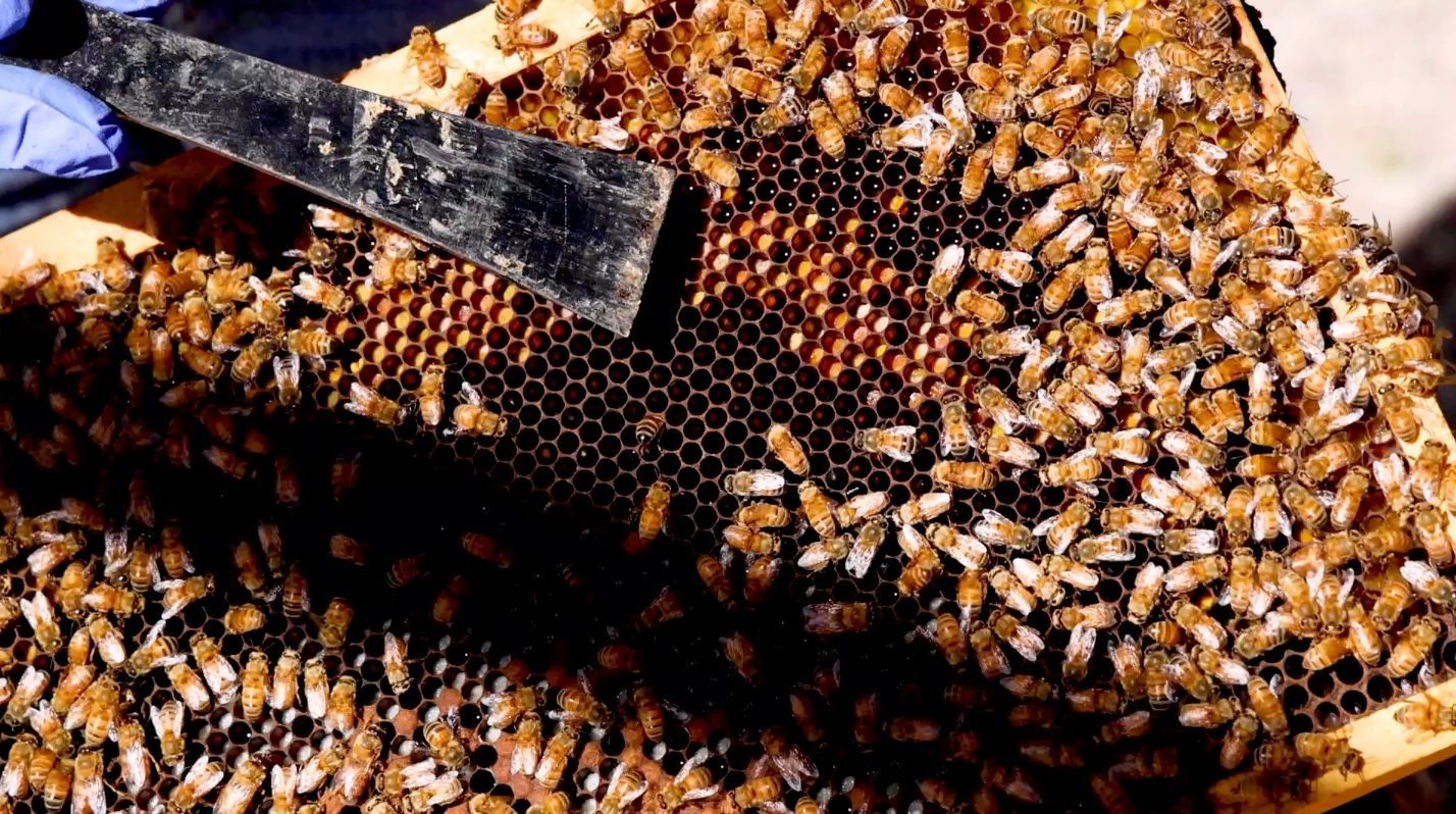 a black and white living room with a large tv