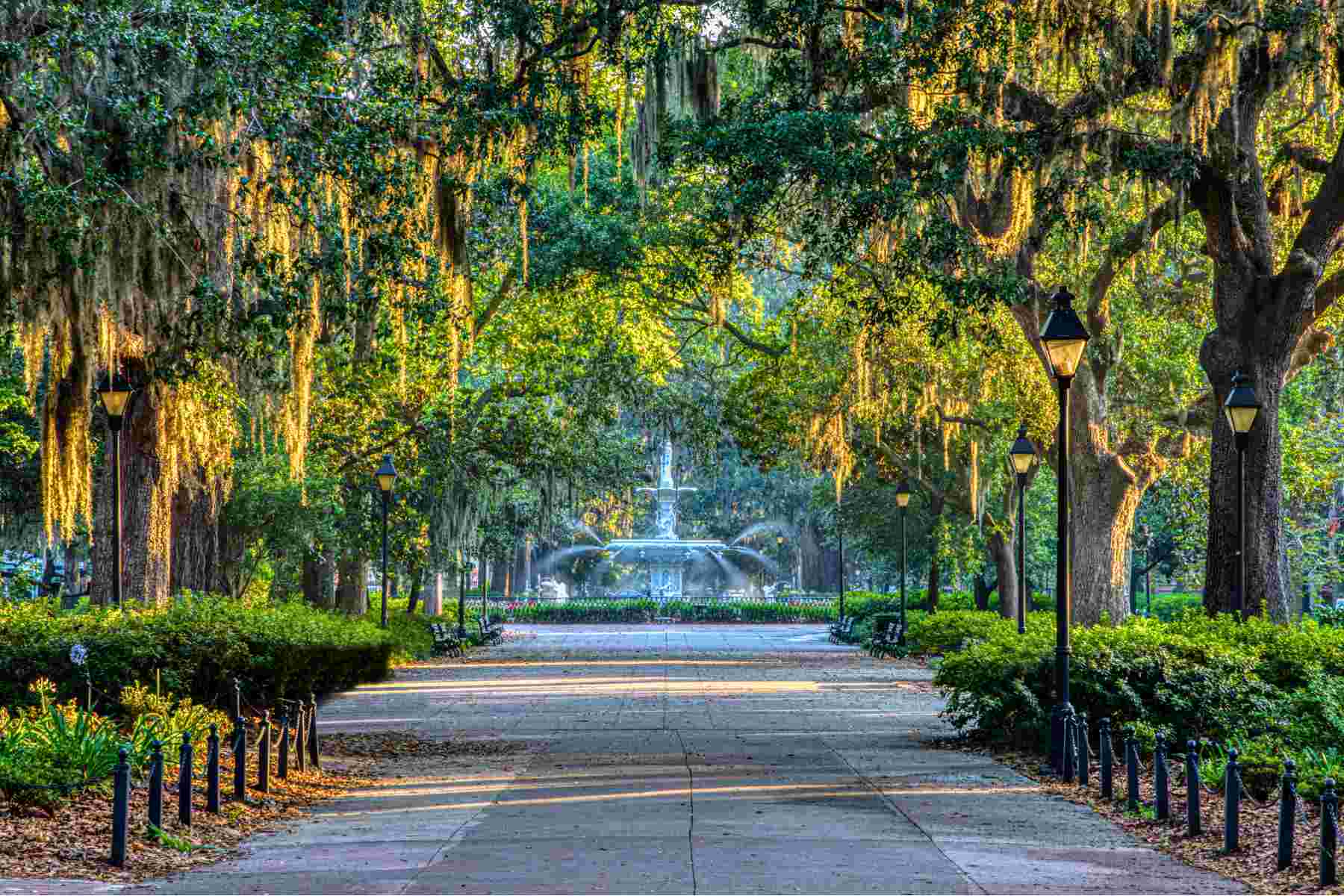 Forsyth Park fountain framed by live oaks, Savannah