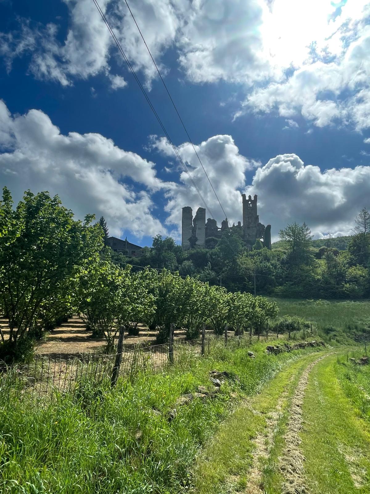 Foto su prateria locale italian, in lontanaza un antico castelloa