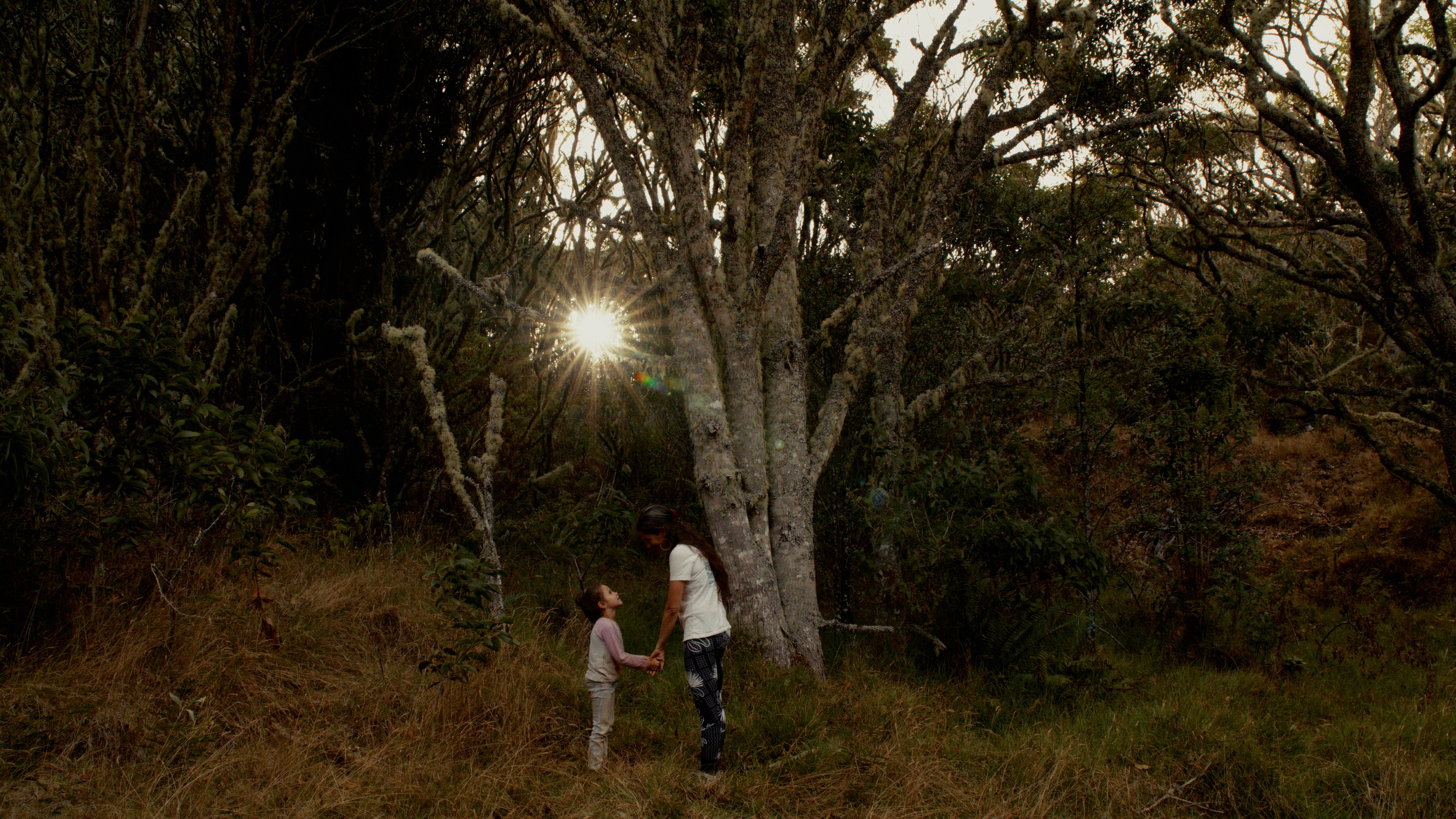 Marriott Waikoloa Anaehoomalu Bay