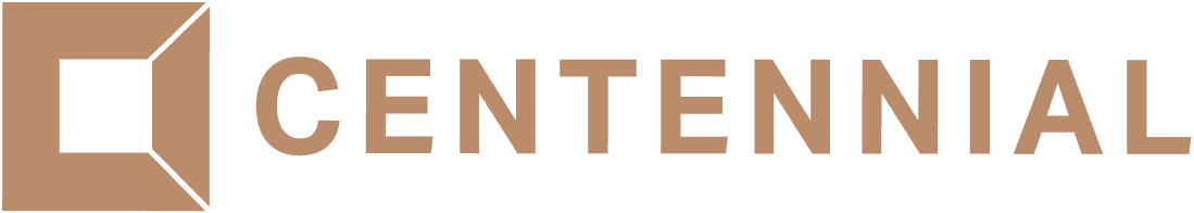 JOINT VENTURE PARTNER