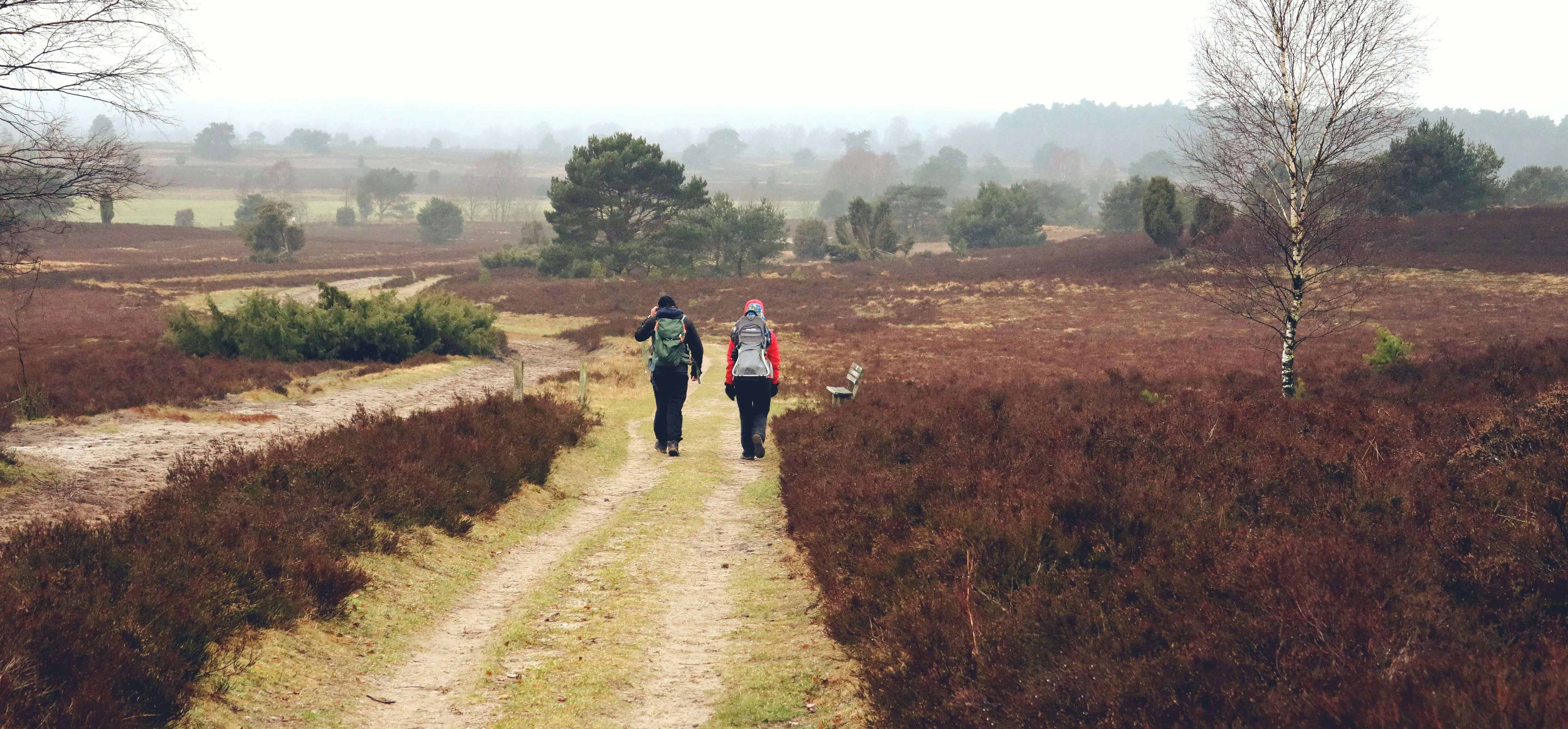 Zwei Wandere gehen einen Pfad entlang durch die Heide