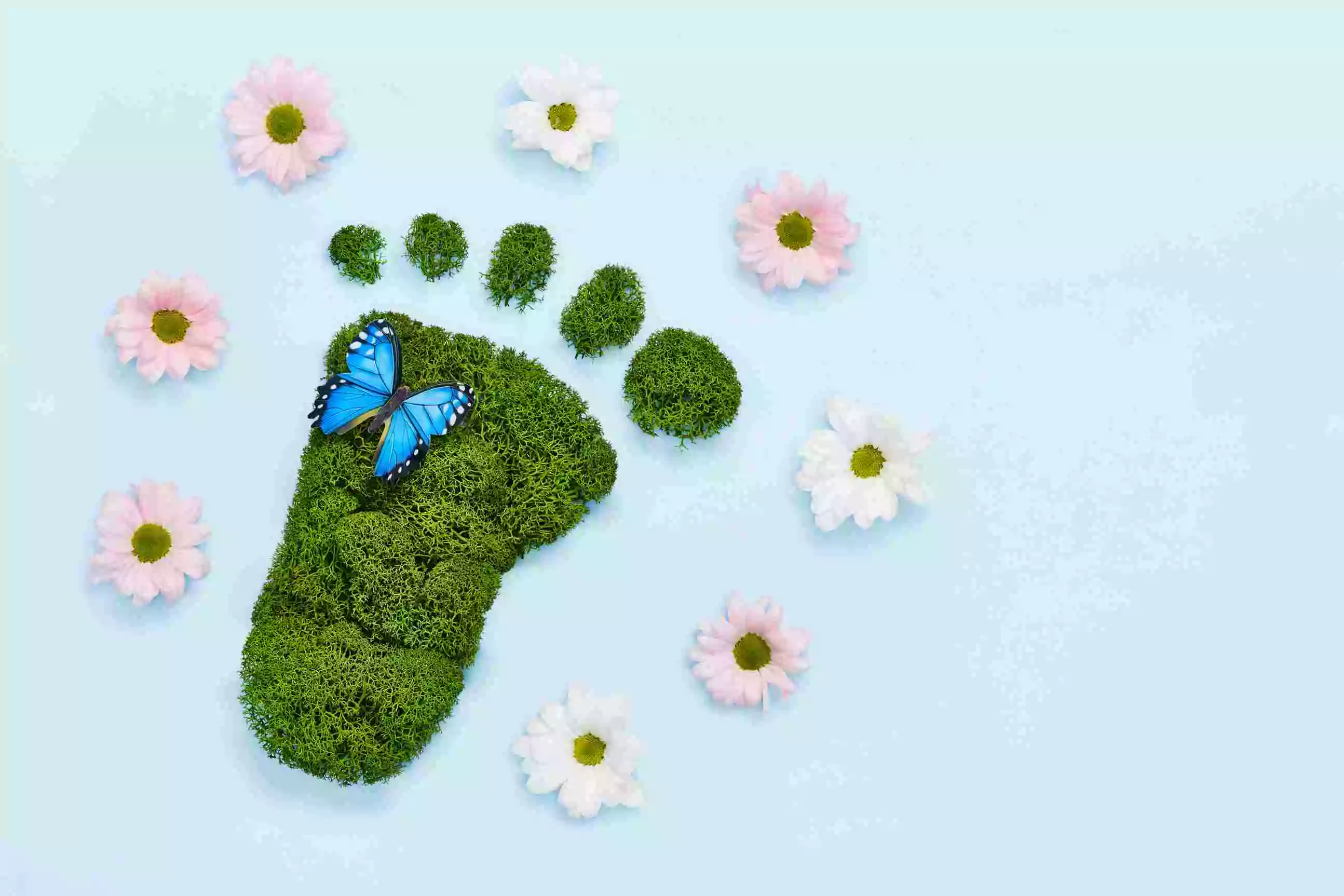 Reducing Carbon Footprints