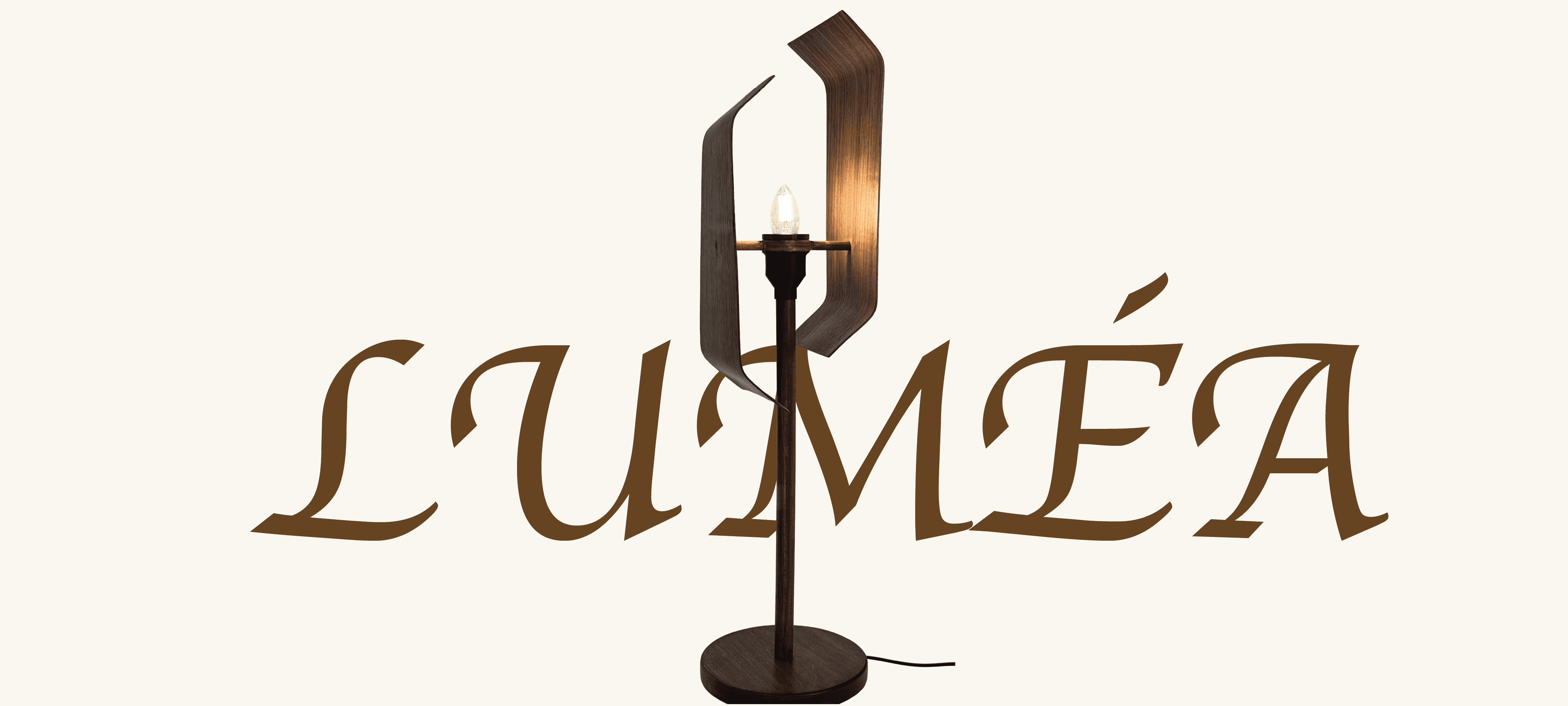 Project Content Image - 1