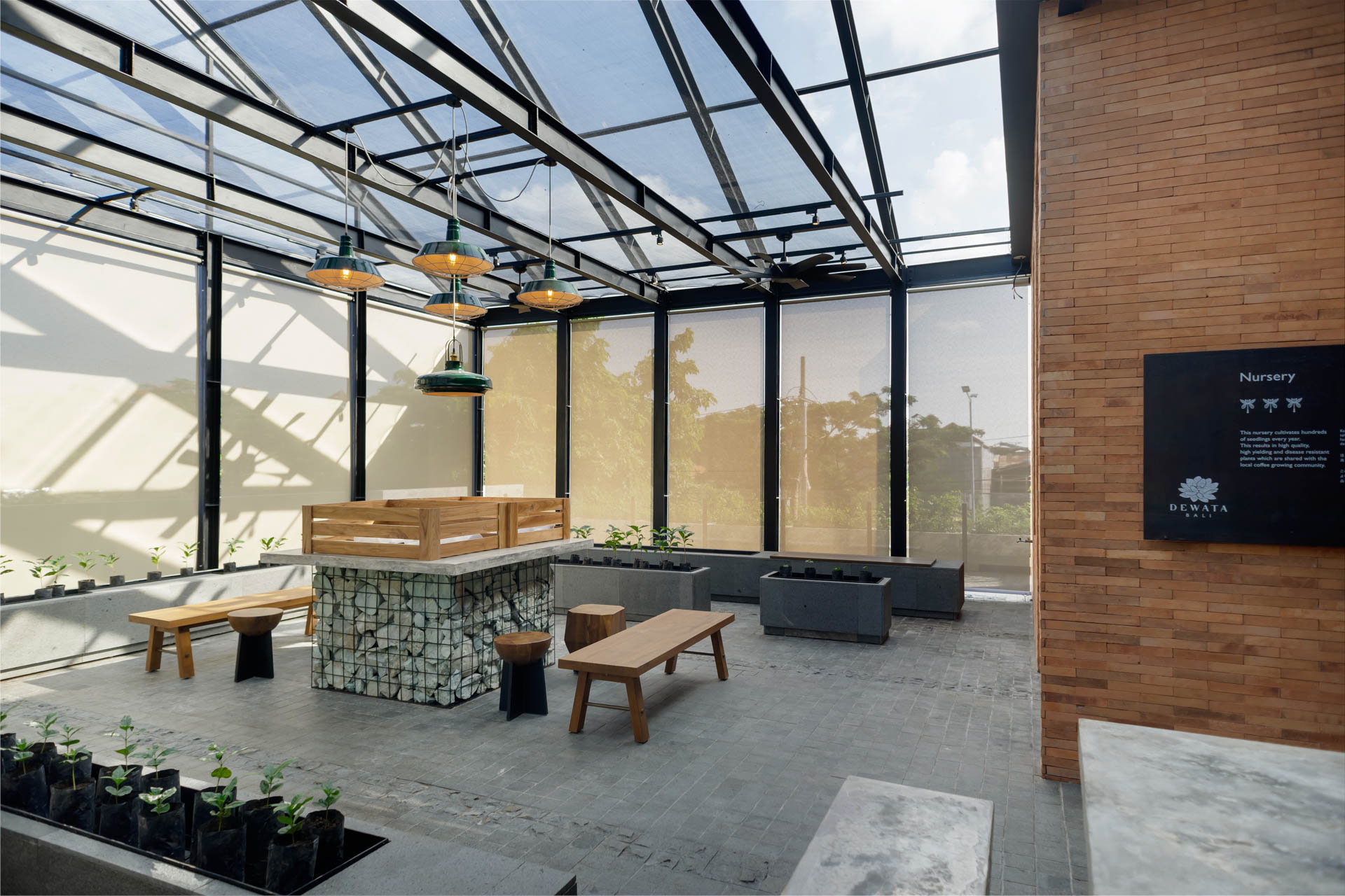 Seedlings nursery terrace