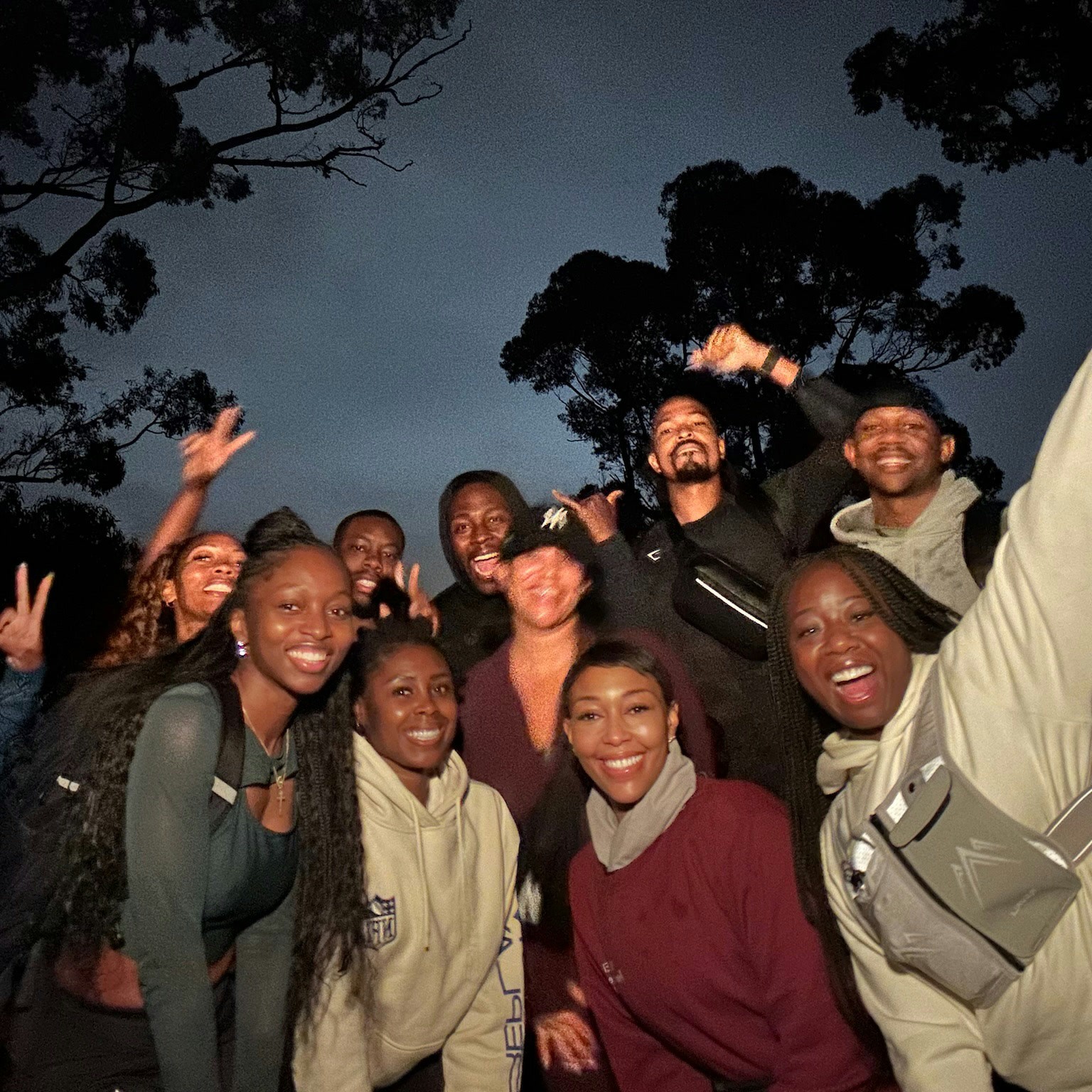 Friends gathered beneath the trees at dusk