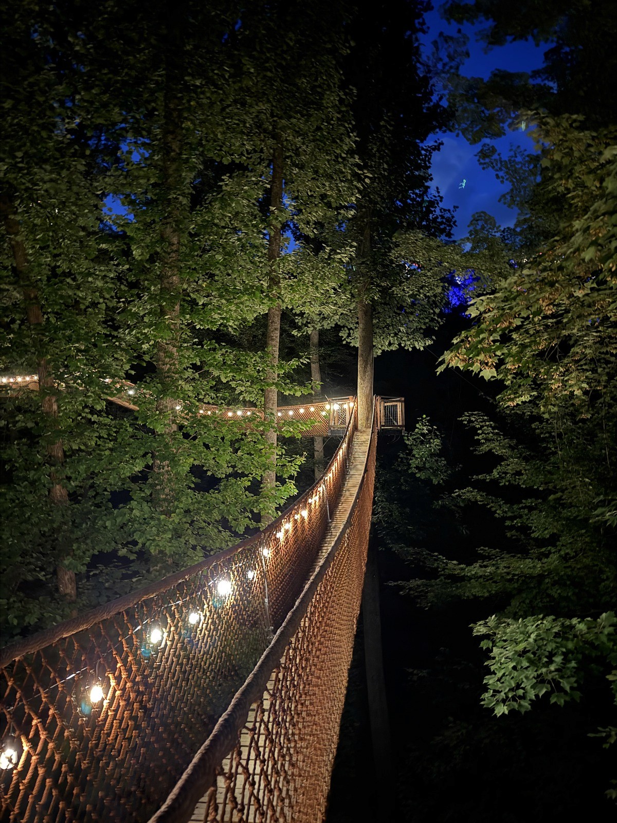 The BEST Hidden Gem Activities Near Pigeon Forge