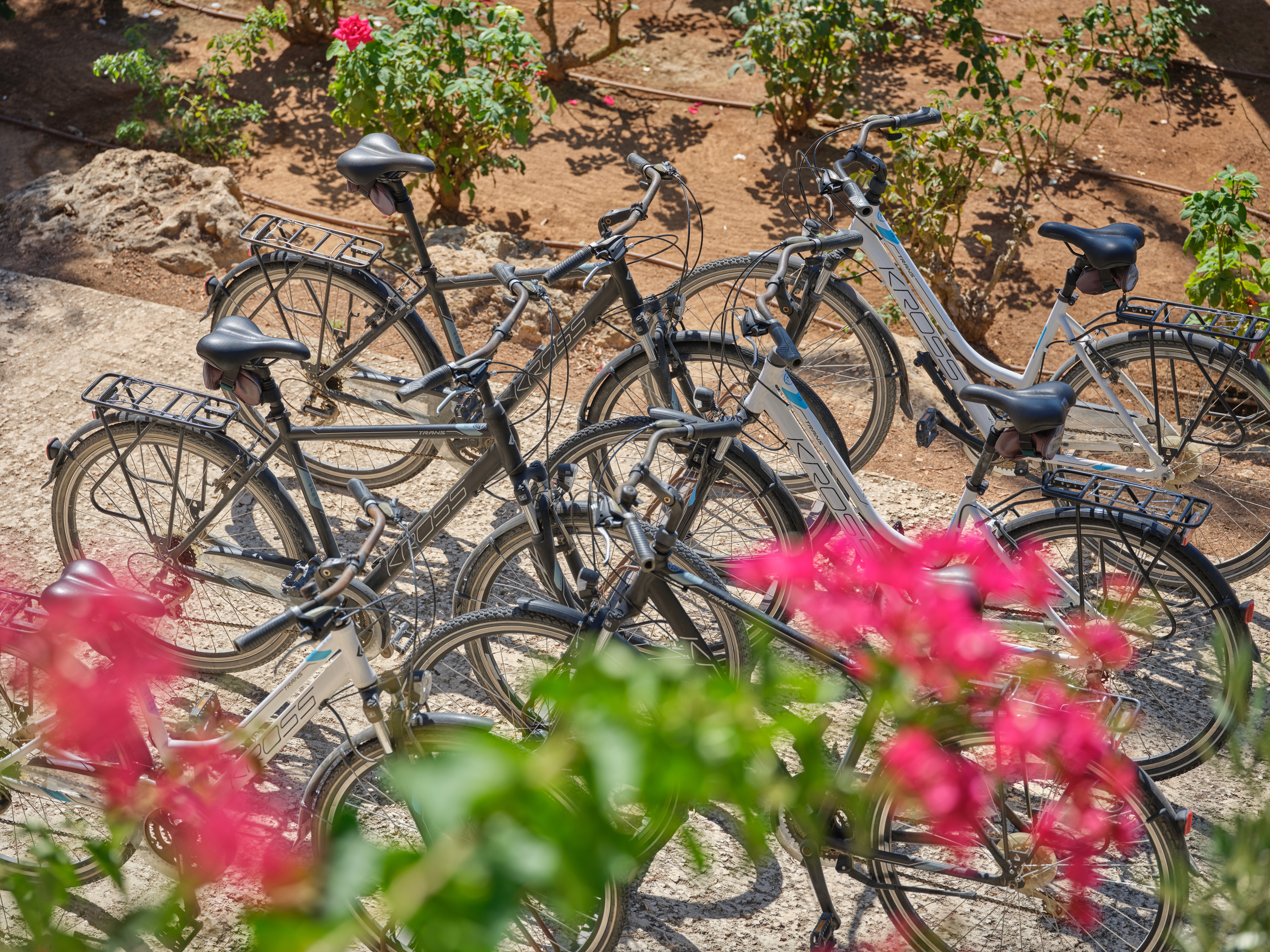 Son Penya's renting bikes
