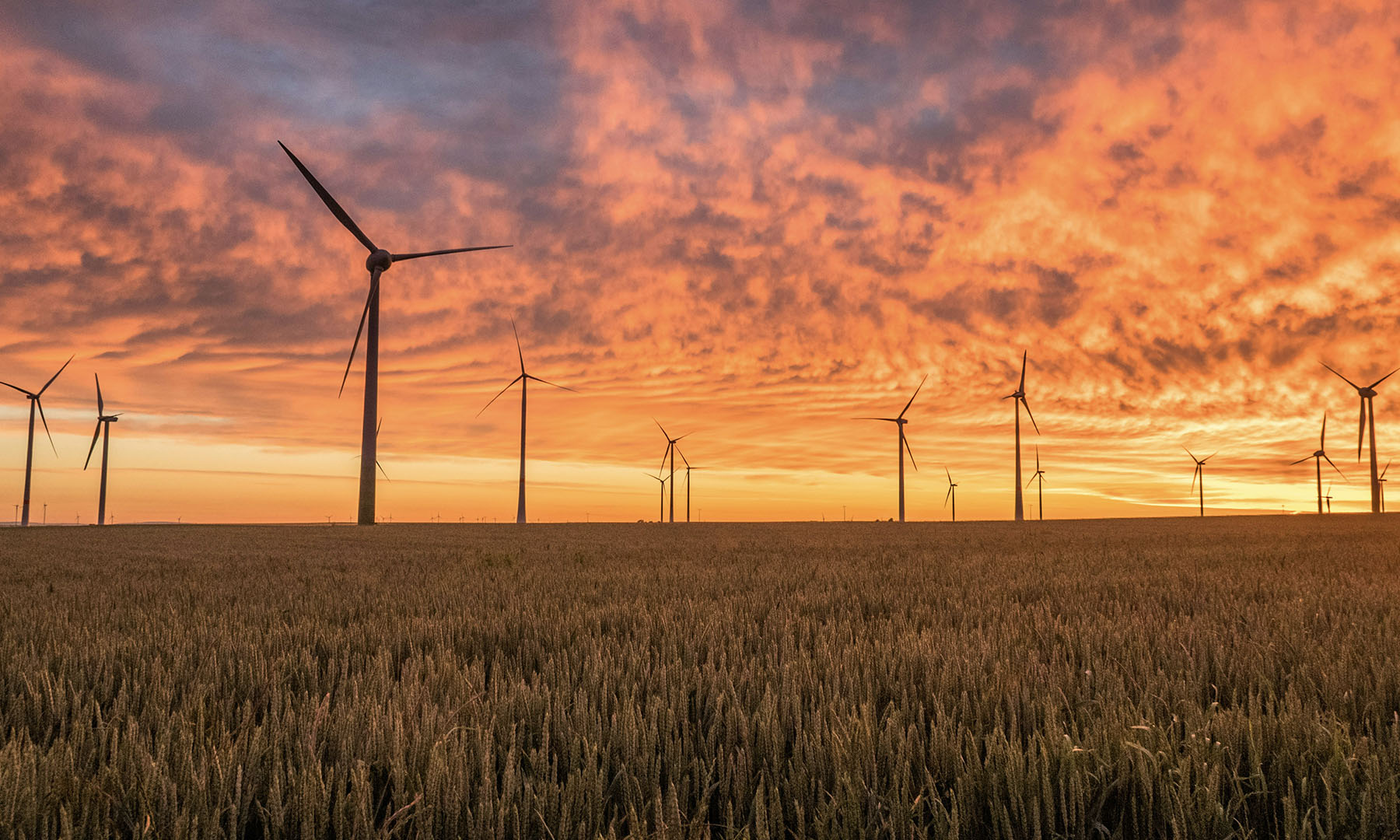 Wind turbines at sunset