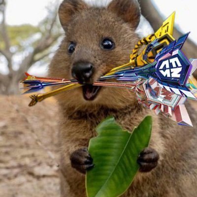 Thiefs’s X profile avatar: a black-hooded figure in a beanie shushing in front of a lake and cloudy sky.