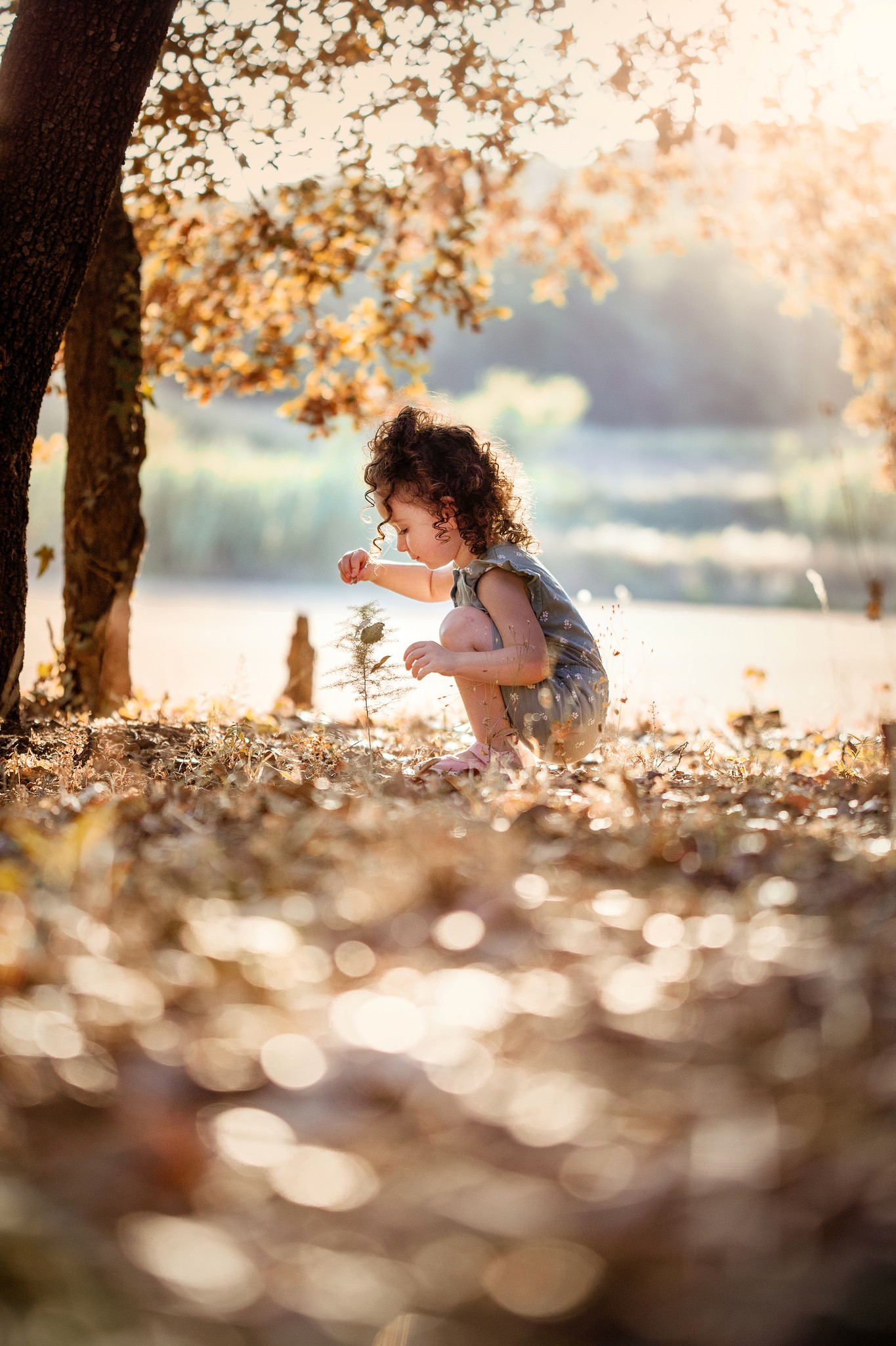 Niña mirando una flor