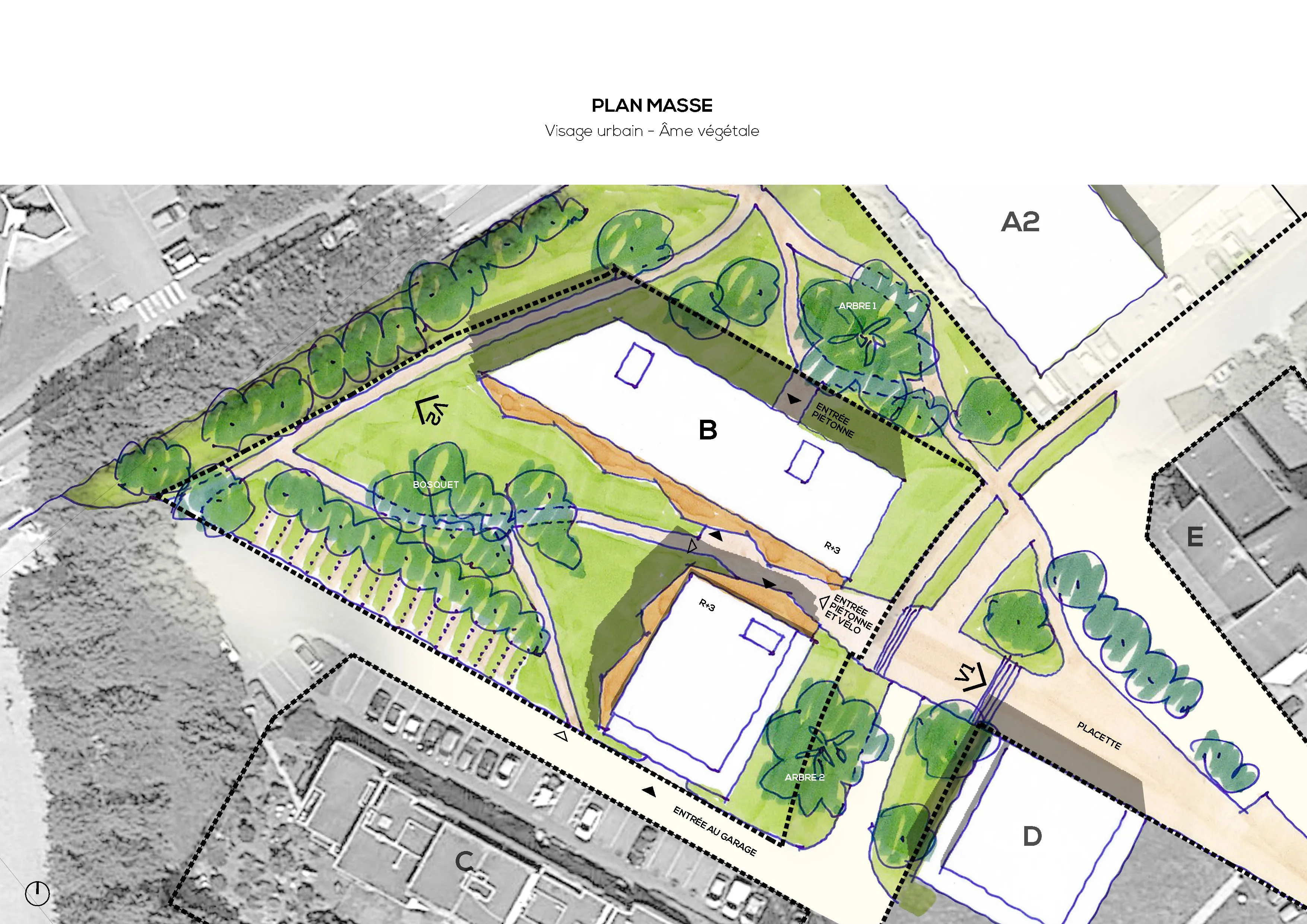 Logements collectifs - Guidel - plan masse