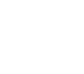 Sentry logo