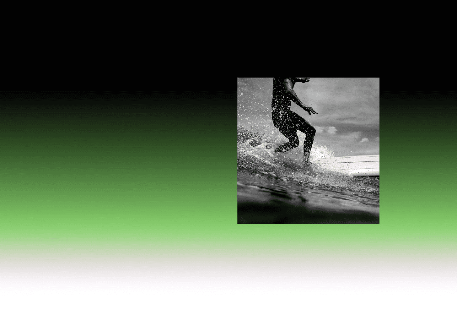 The image featured at the top of the about us page #1