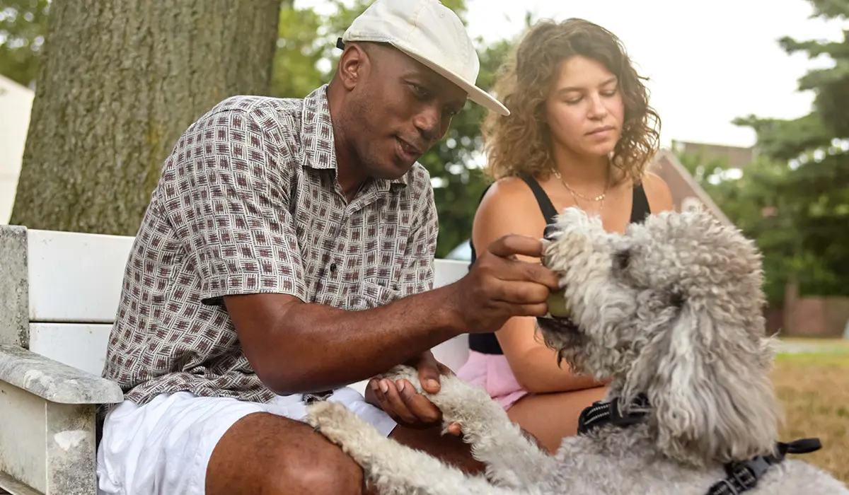 A man and woman playing with their dog in the park