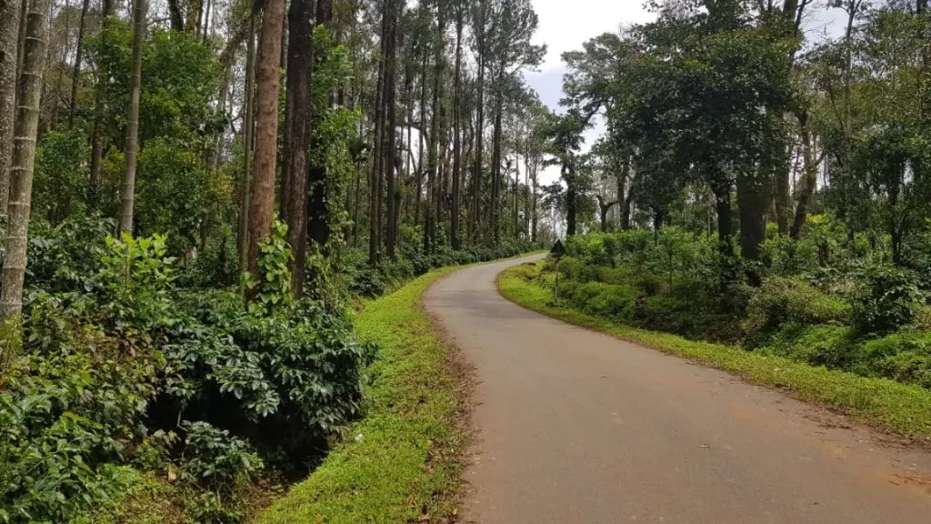 Coorg Coffee Plantations