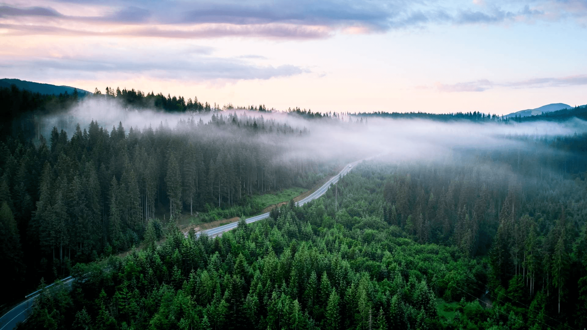 Drive Success with Personalized Financial Services