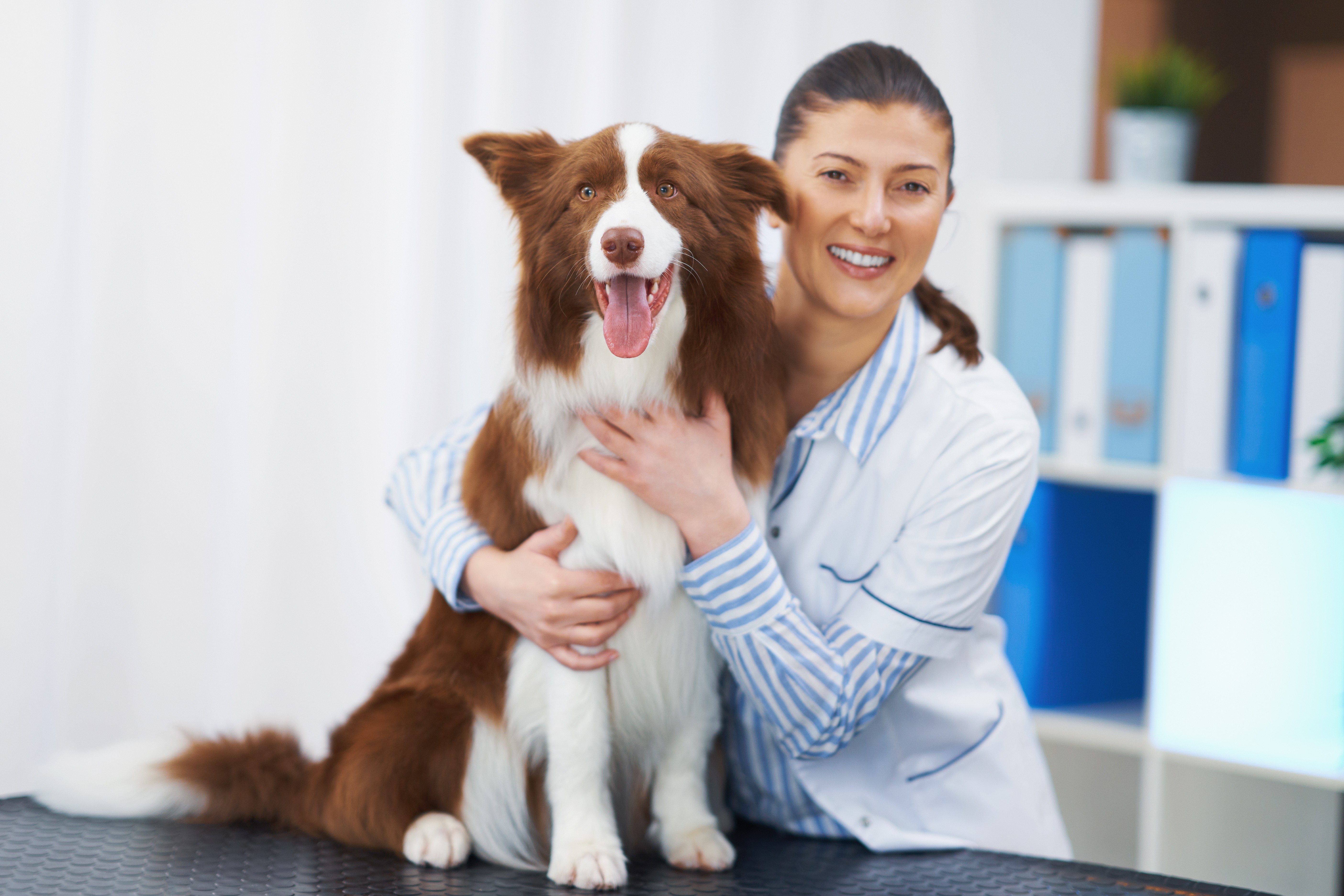 Veterinarian