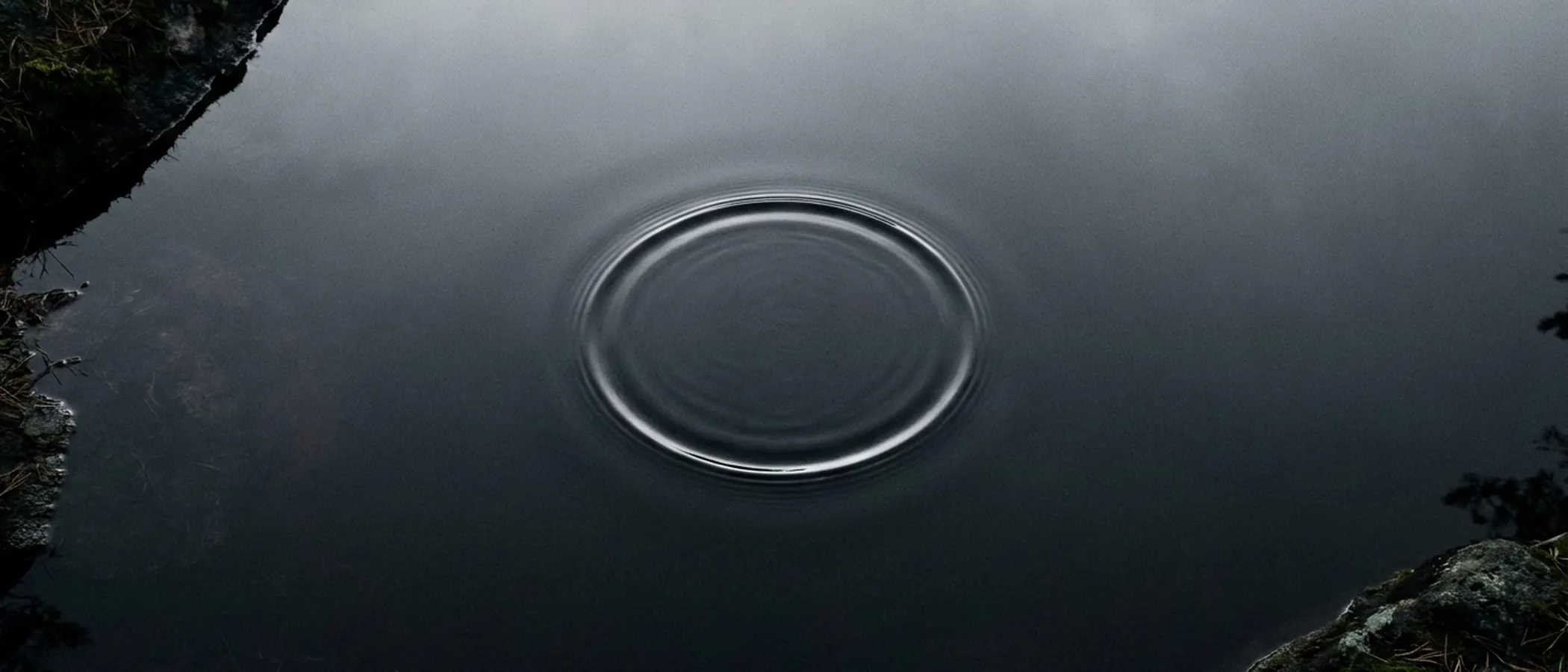 Circular ripples on dark water surface