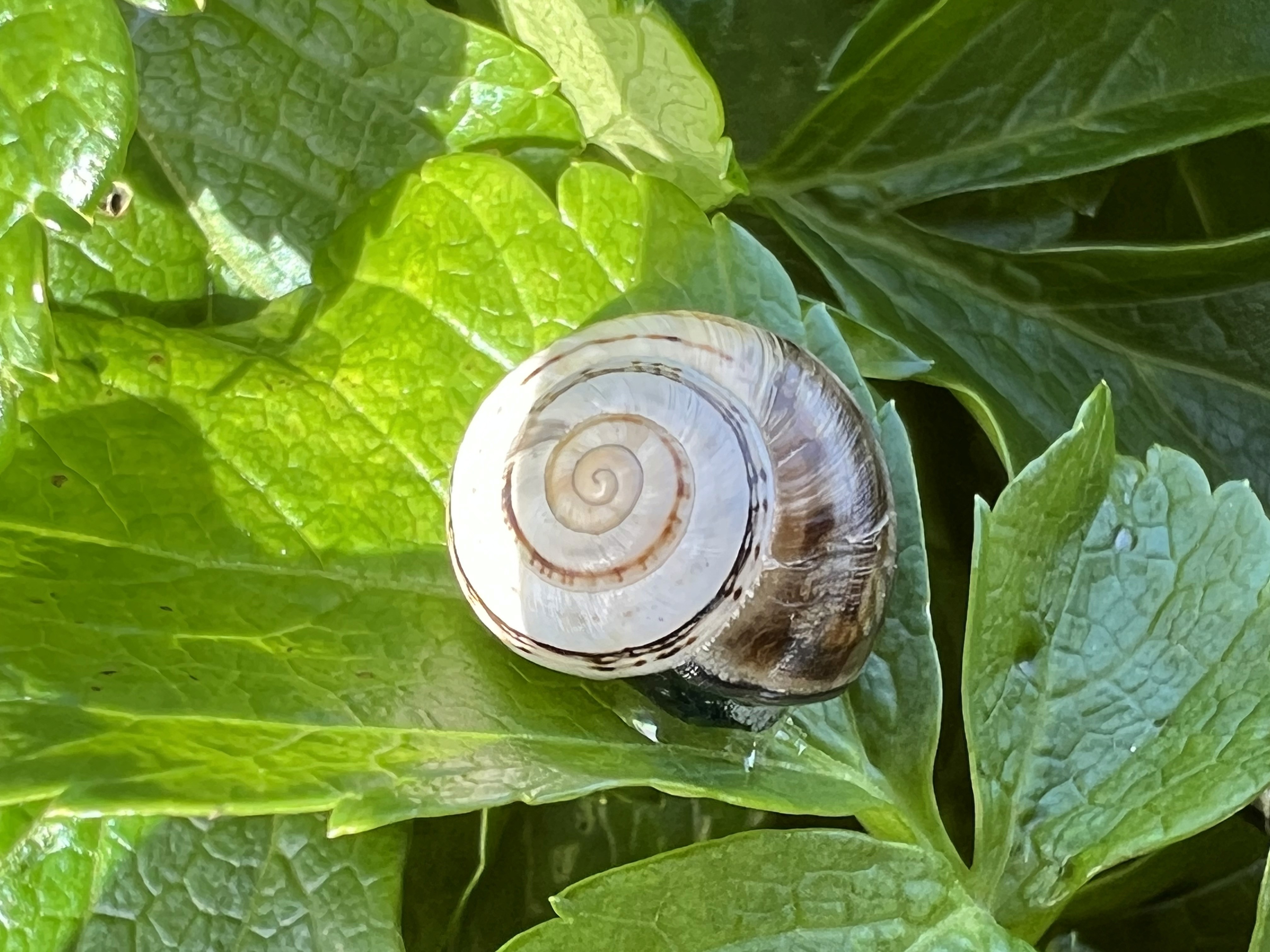 blue sky and white clouds over the sea
