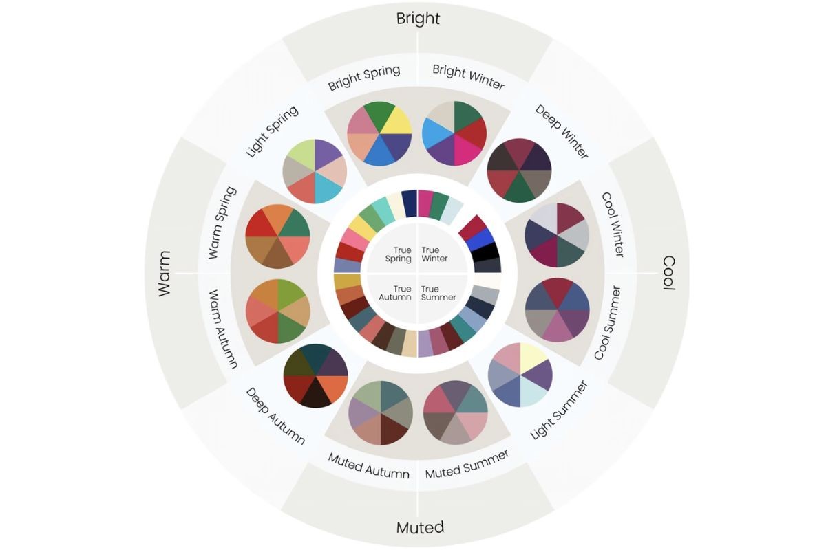 A seasonal color analysis chart showing Spring, Summer, Autumn, and Winter sub-seasons with labeled attributes like light, deep, warm, cool, bright, and muted, along with sample colour palettes.