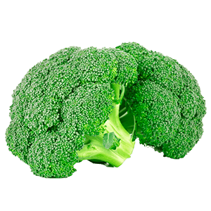 Broccoli