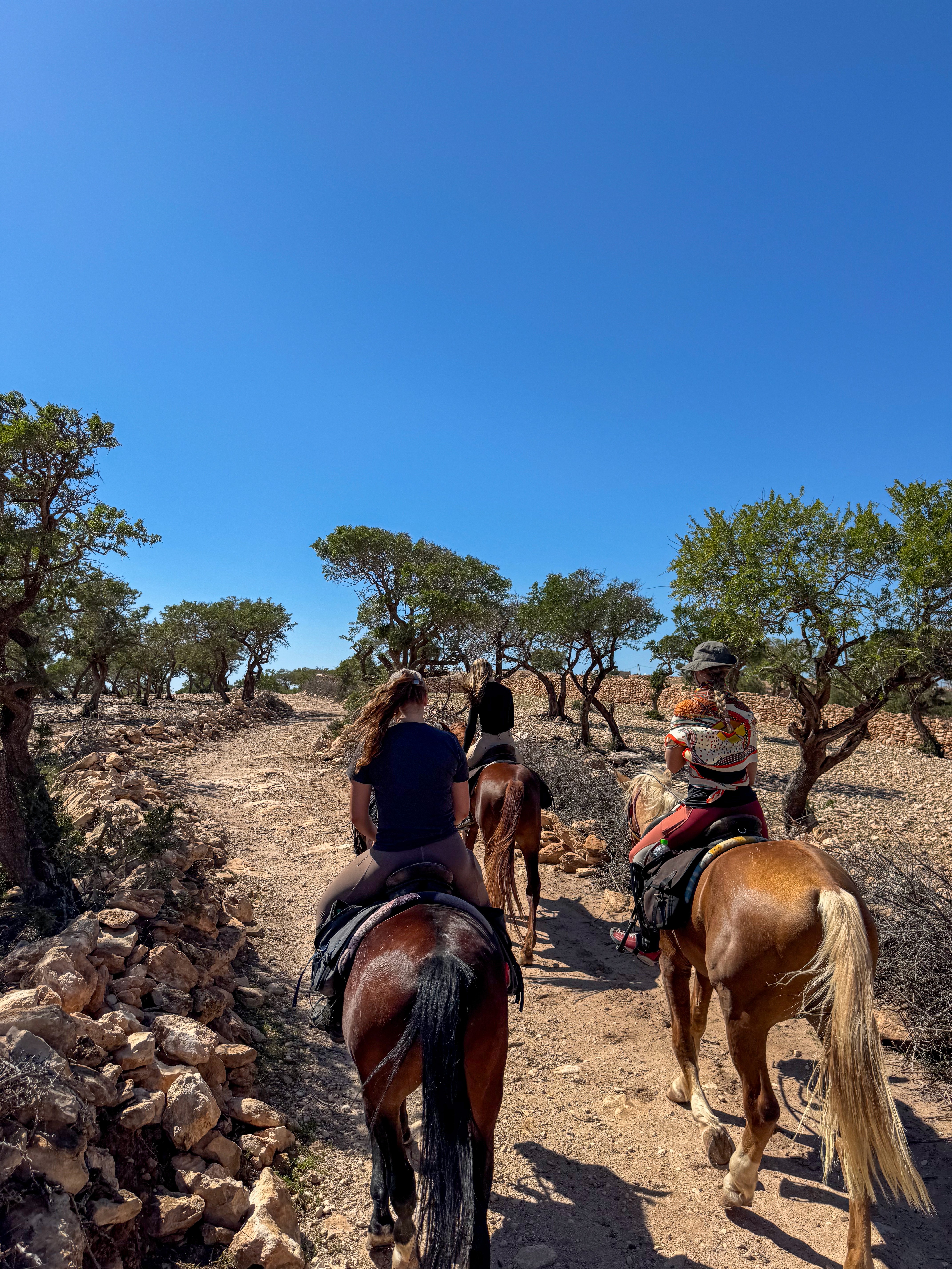 Horse trekking with friends