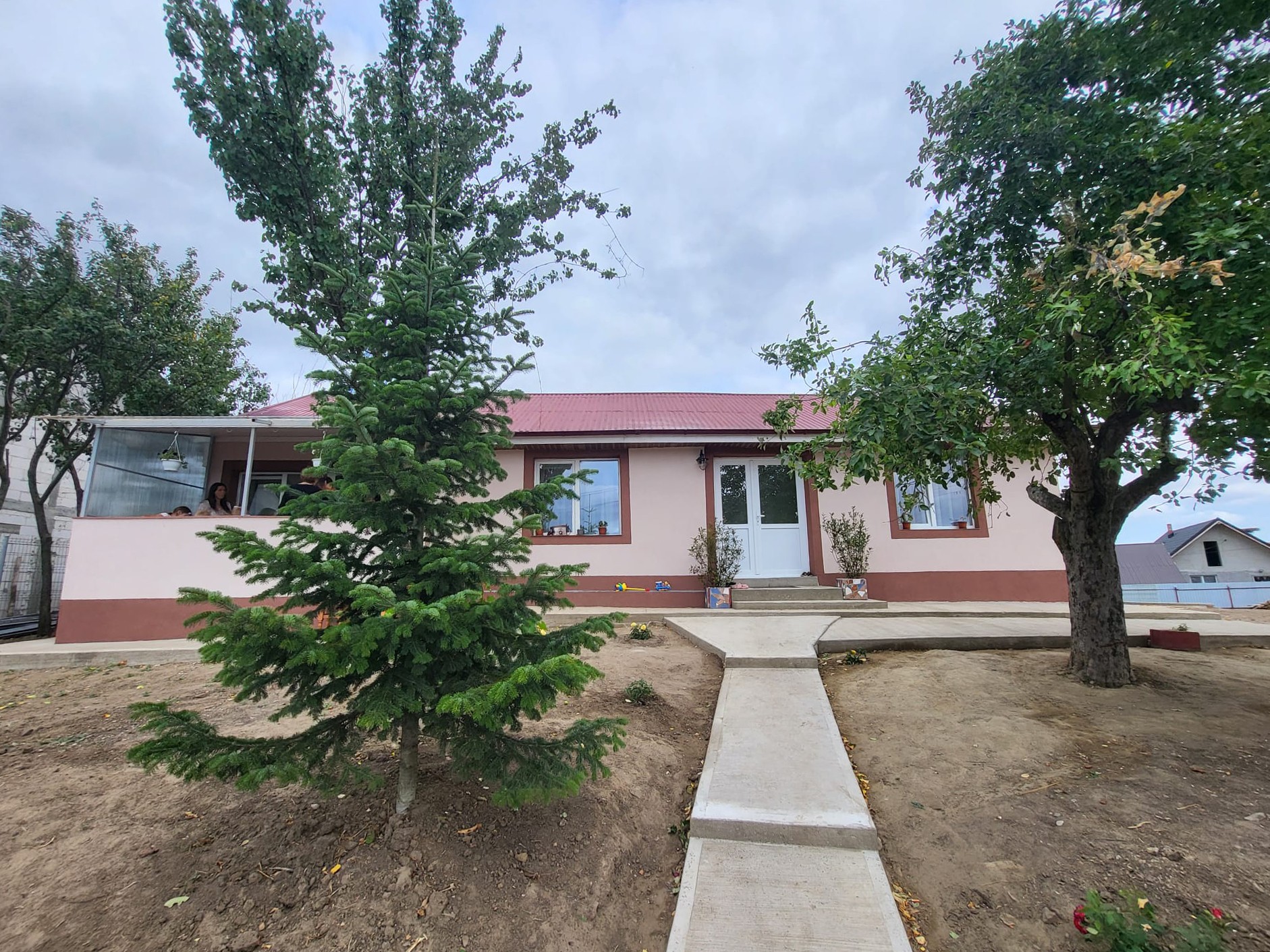 Close-up of a dark green leaf showing its textured surface and central vein against a muted background.