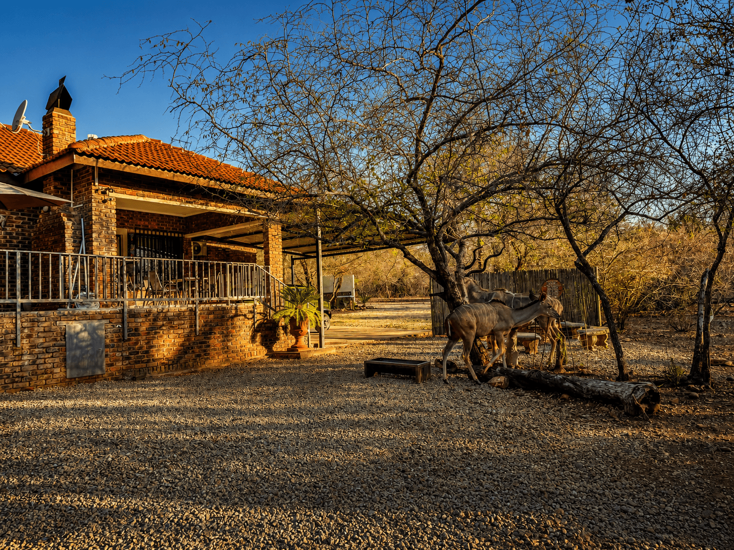 Image of the resort