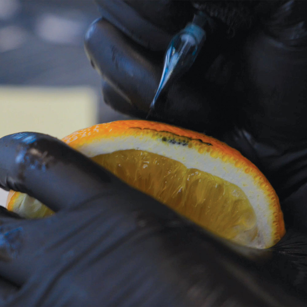 Praktyczne wskazówki na start